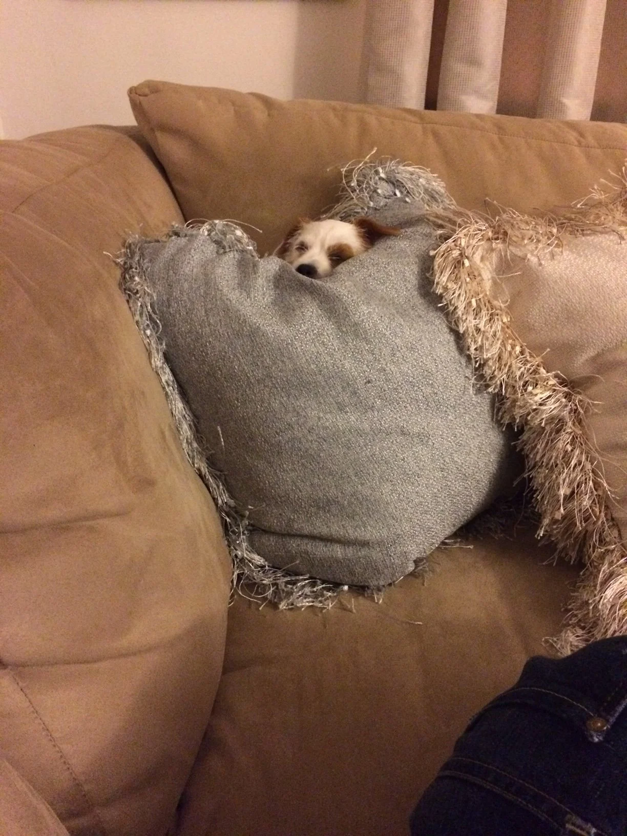 45 Minutes of Intense / 45 Minutes of Release &amp; Restore