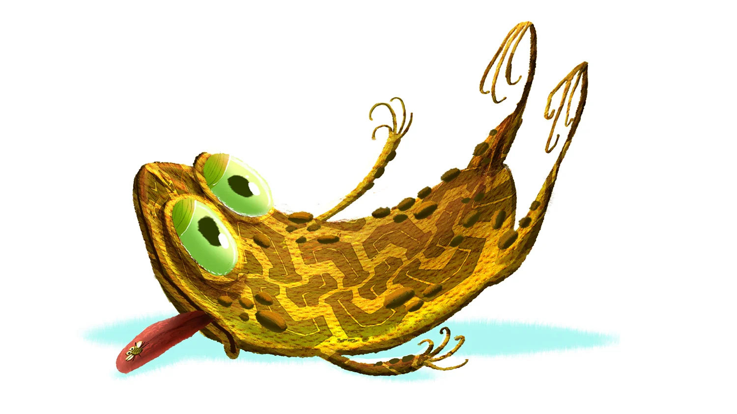 squished toad 3.jpg