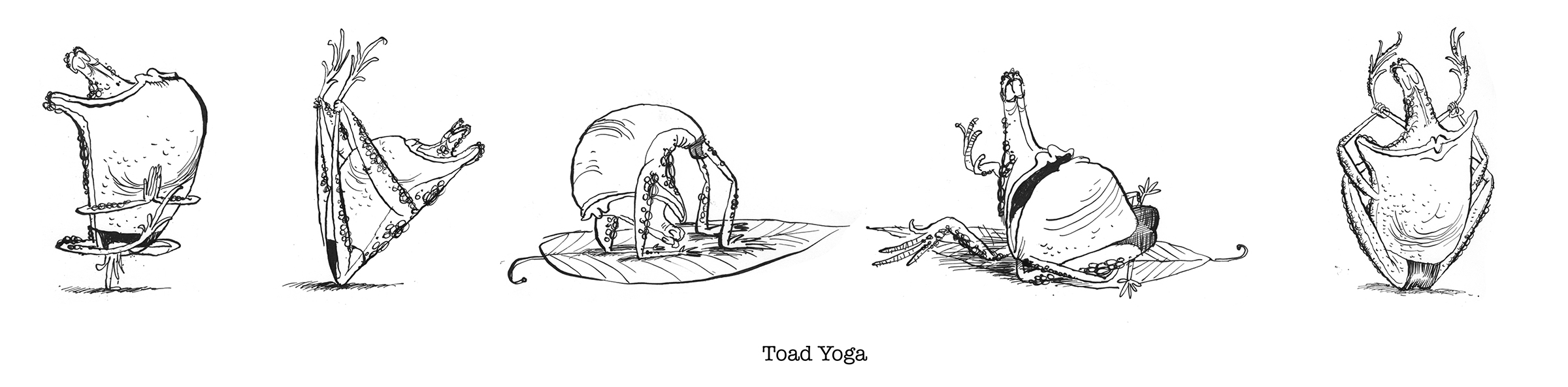 toad yoga.jpg