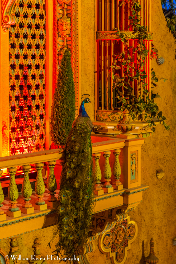 2014-09-Olympia-Theater-Miami-014.jpg