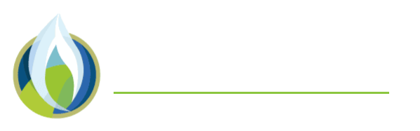 Allene Professional Fundraising