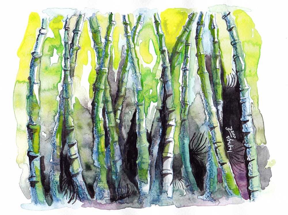 Kyoto bamboo park, 20x25cm, watercolor and crayon The following is placeholder text known as “lorem ipsum,” which is scrambled Latin used by designers to mimic real copy. Aenean eu justo sed elit dignissim aliquam. Aliquam bibendum, turpis eu mattis iaculis, ex lorem mollis sem, ut sollicitudin risus orci quis tellus. Fusce at massa nec sapien auctor gravida in in tellus.