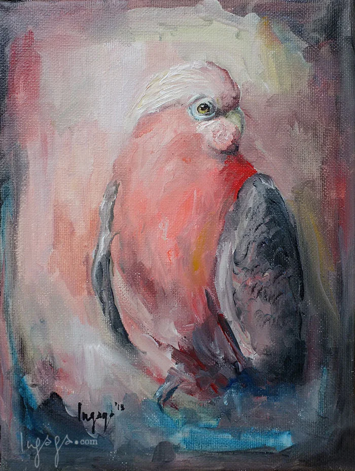 SINGING GUACAMAYA 18 x 20cm Oil on linen / 2014