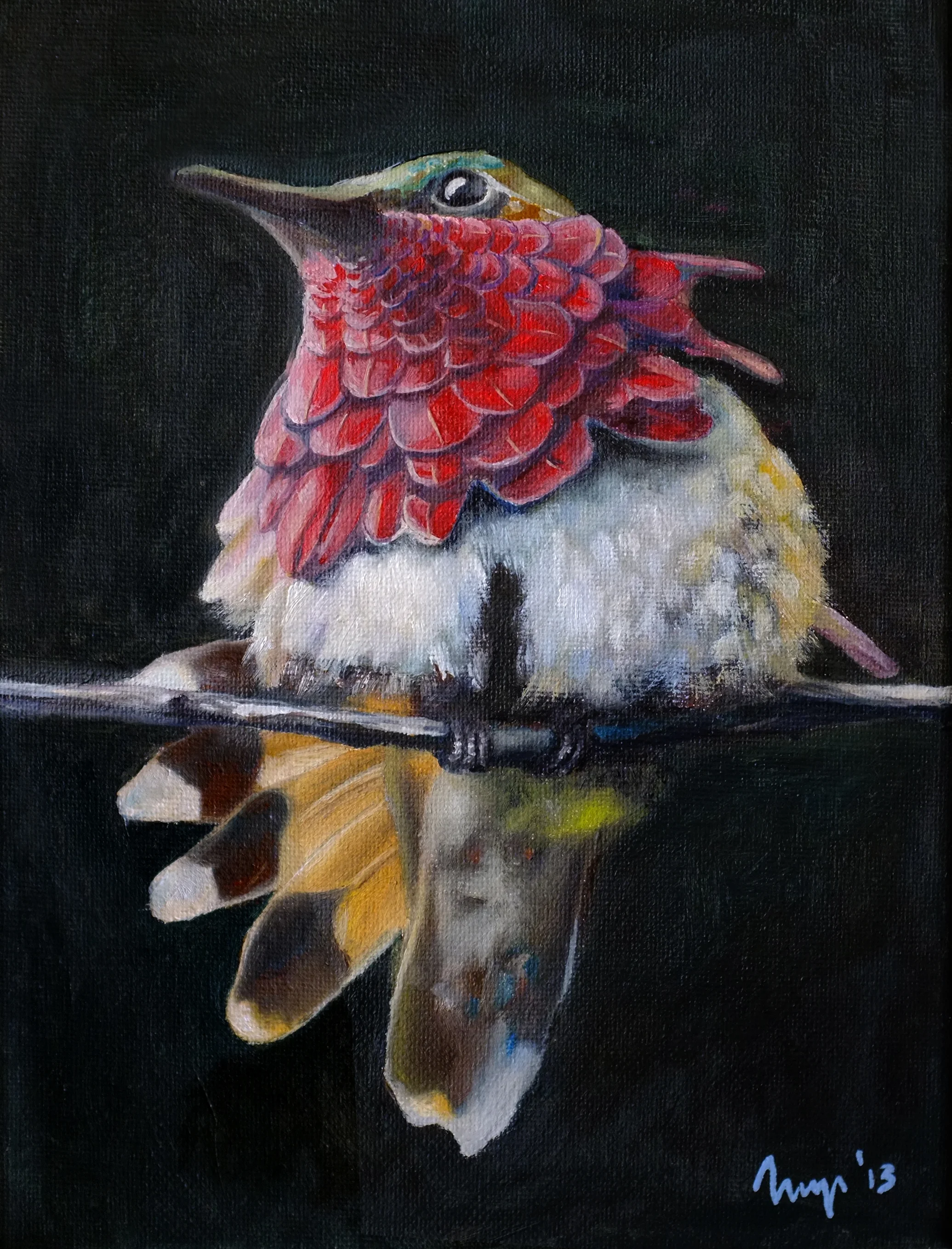 PARADISE BIRD 25 x 30cm Oil on canvas / 2013