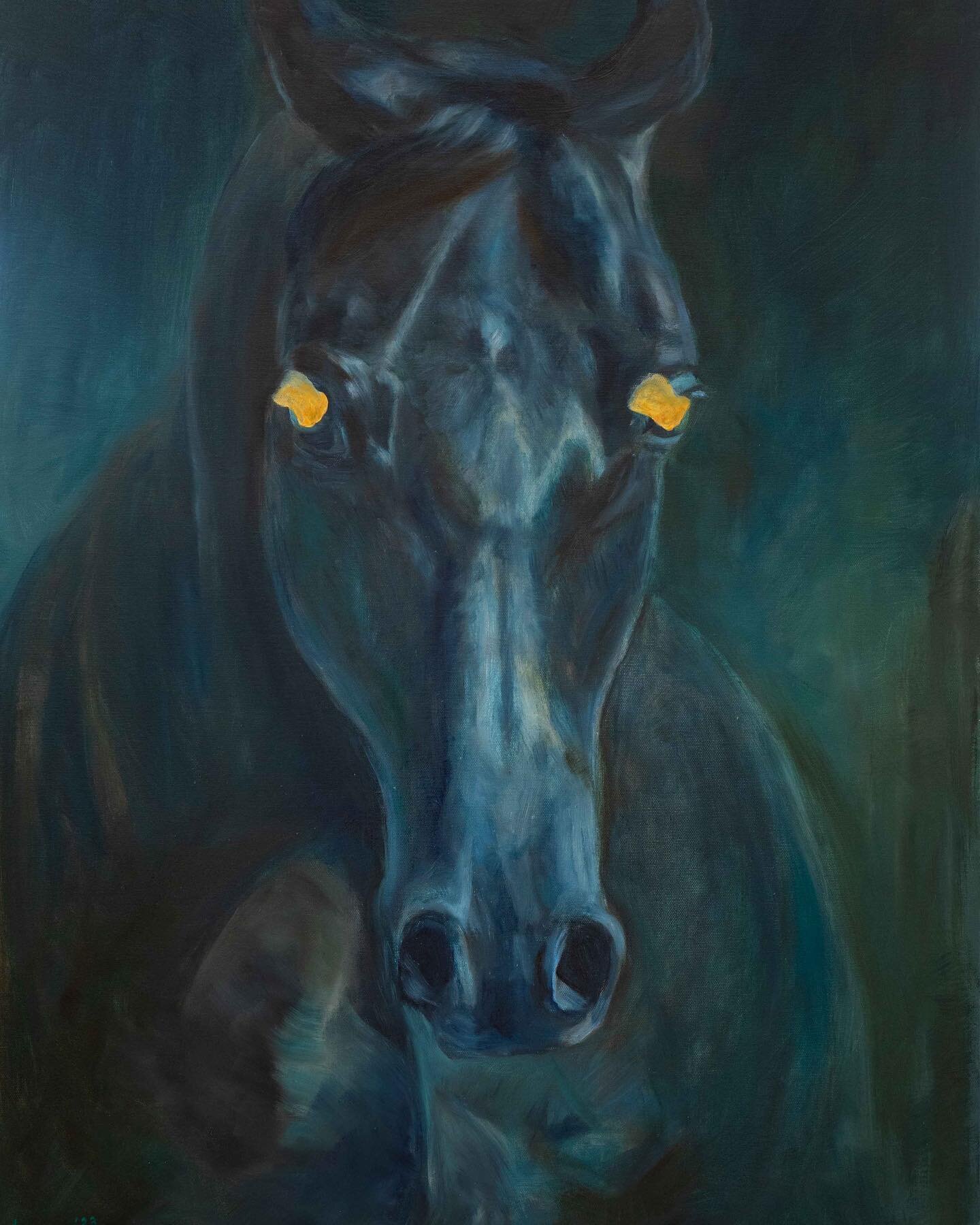 A horse in the dark / 60x80cm / oil on canvas / 2023 #ahorseinthedark #horsepainting #horsewithshiningeyes #barcelonaartist #ingakaupelyte #ingaga #art #realistichorsepainting #bluepainting