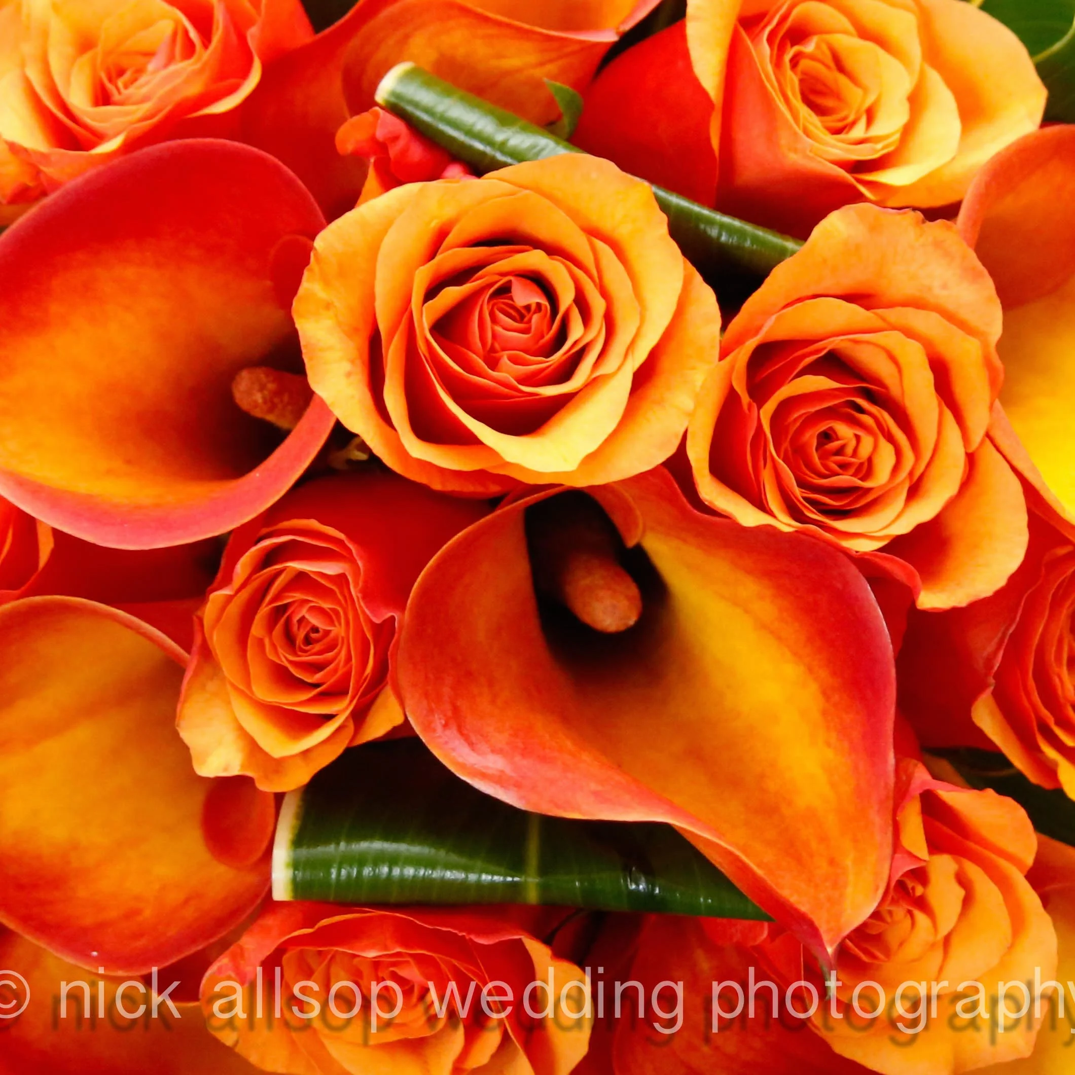 Nick Allsop Wedding Photography-173.jpg