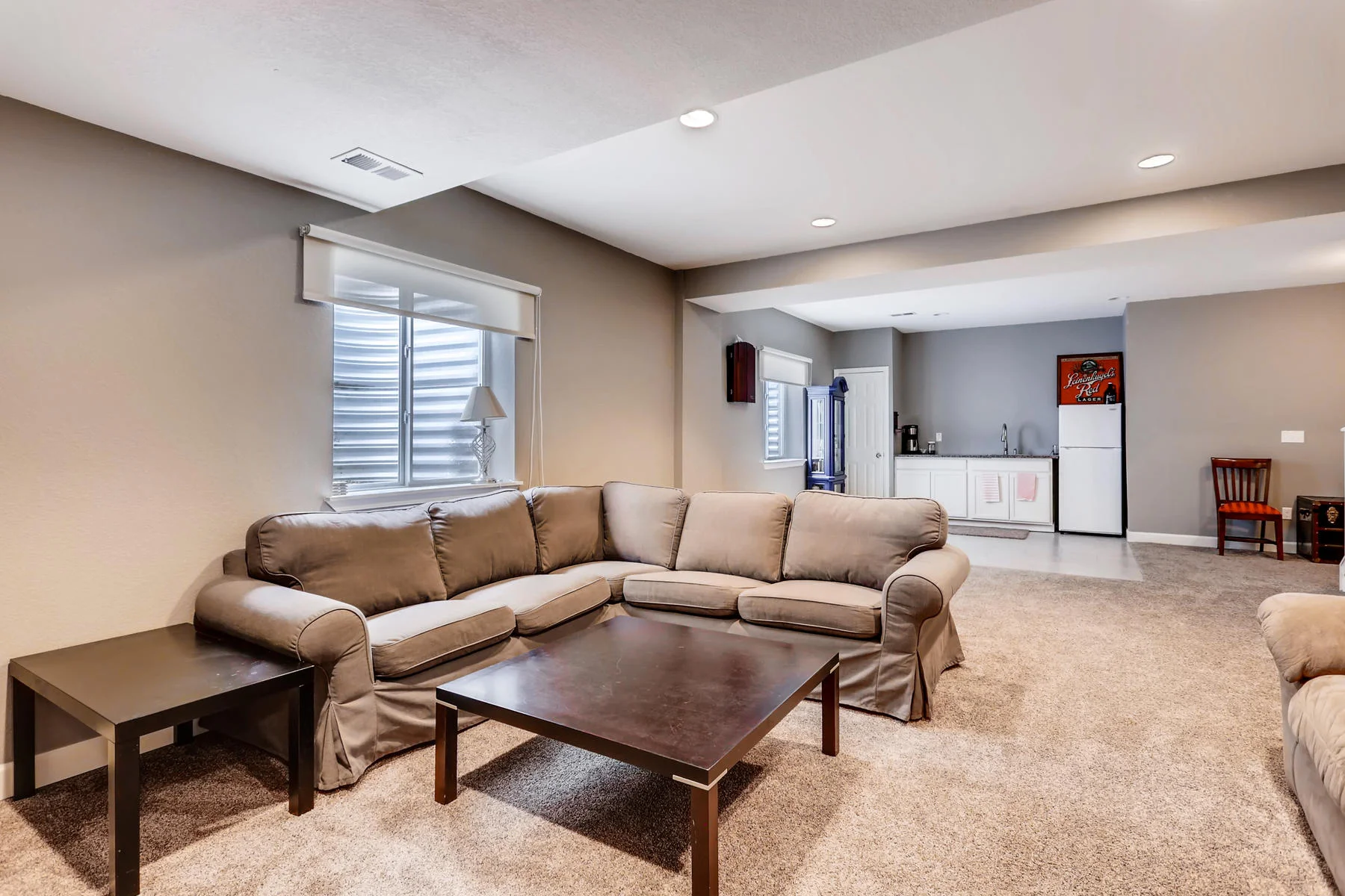 3385 S Jericho St Aurora CO-020-14-Lower Level Family Room-MLS_Size.jpg