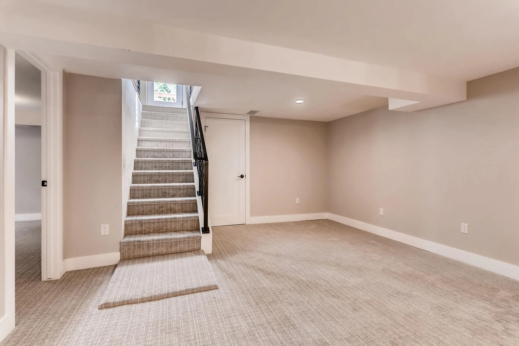 1051 Newport Street Denver CO-021-27-Lower Level Family Room-MLS_Size.jpg