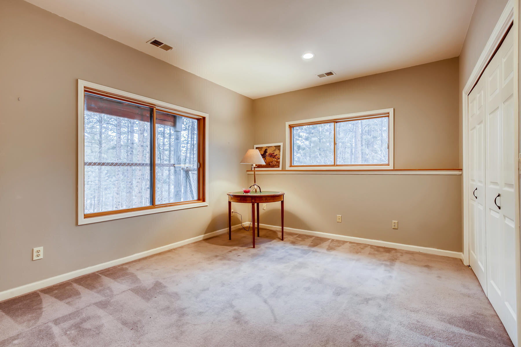 4801 Delaware Dr Larkspur CO-025-022-Lower Level Bedroom-MLS_Size.jpg