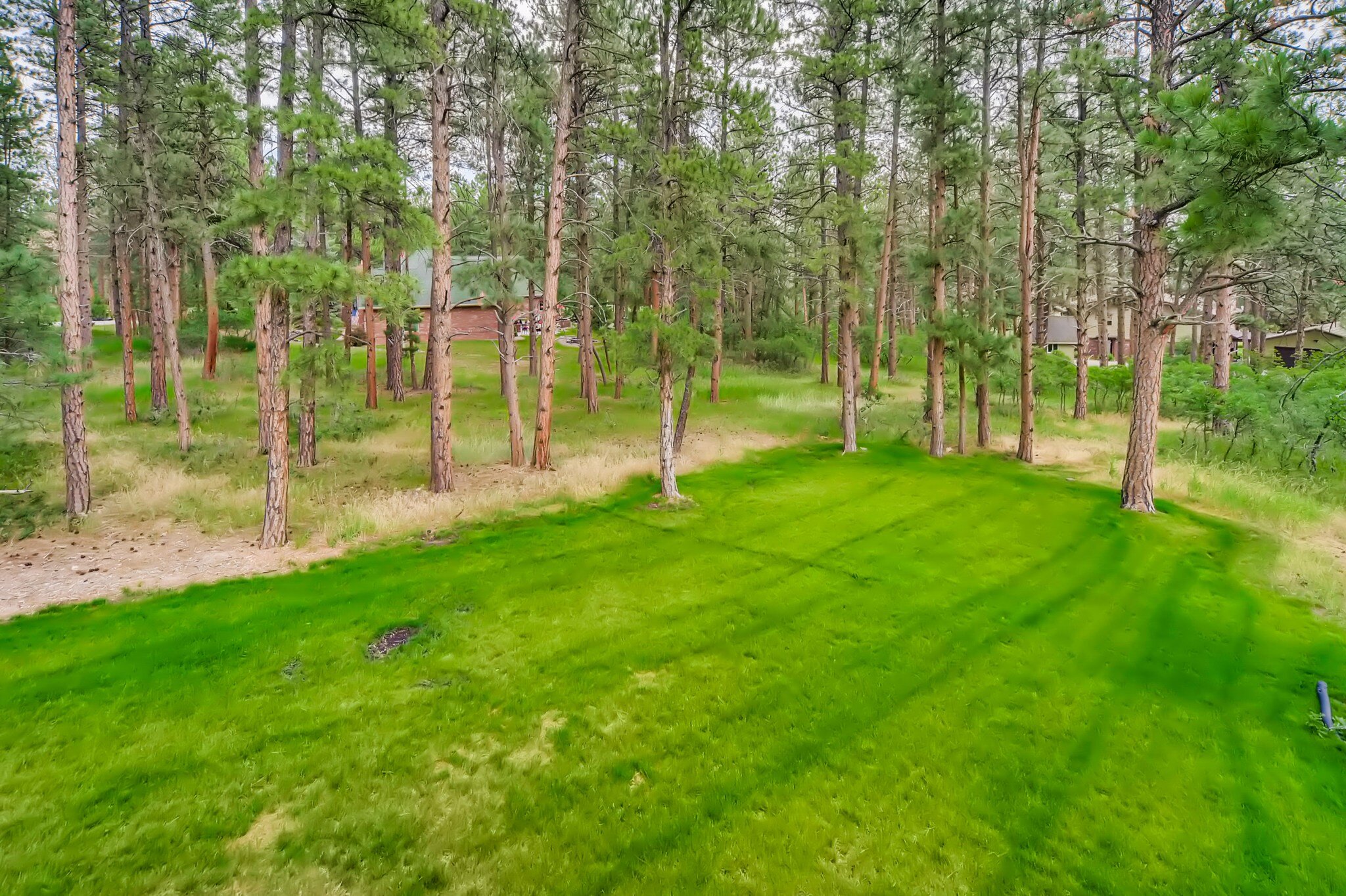 63 Back Yard.jpg