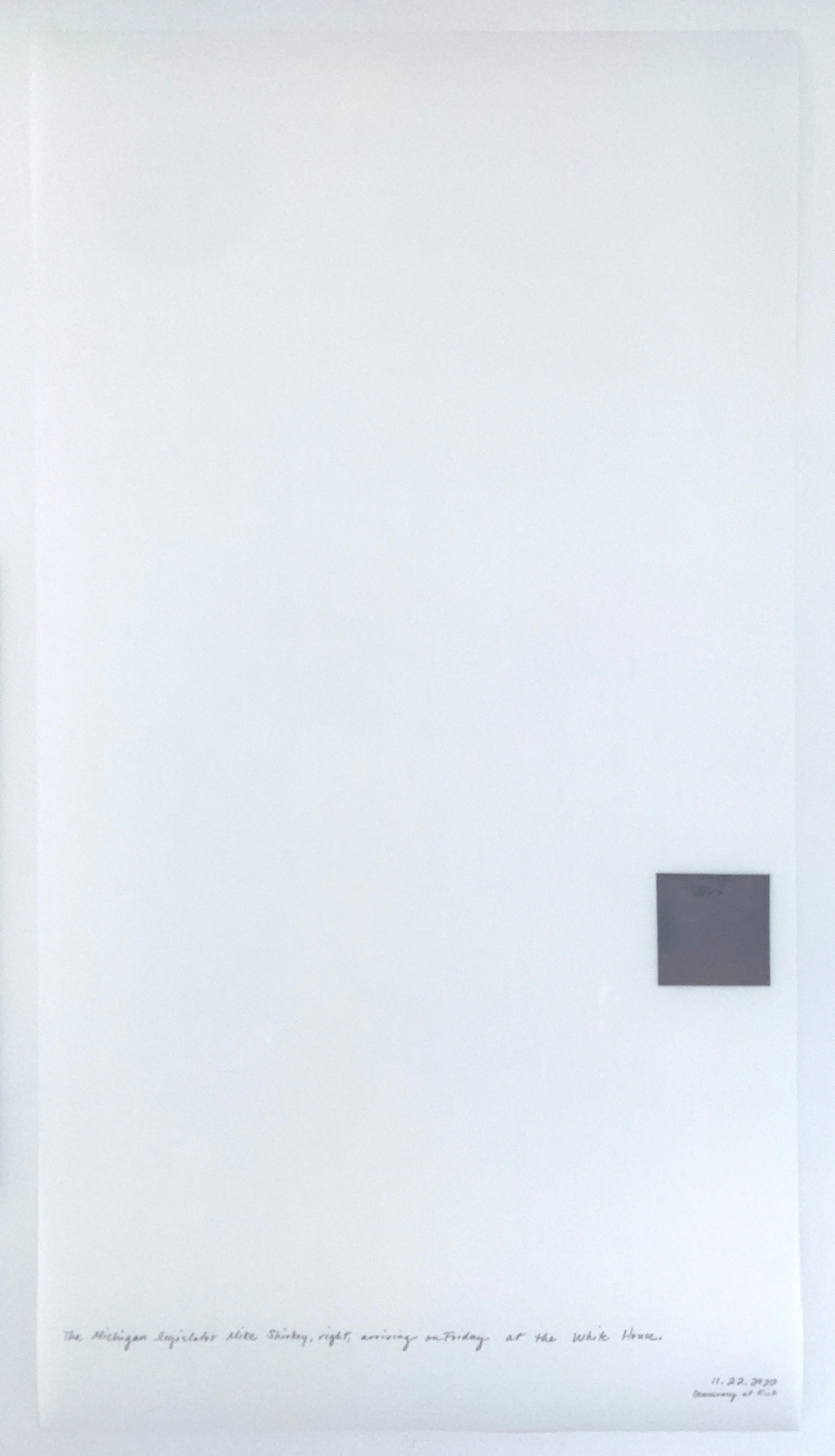 A Week in Times  - 2020 Acrylic on polyester resin film, 22 x 12 inches  
The Michigan legislator Mike Shirley, right Arriving on Friday at the White House.