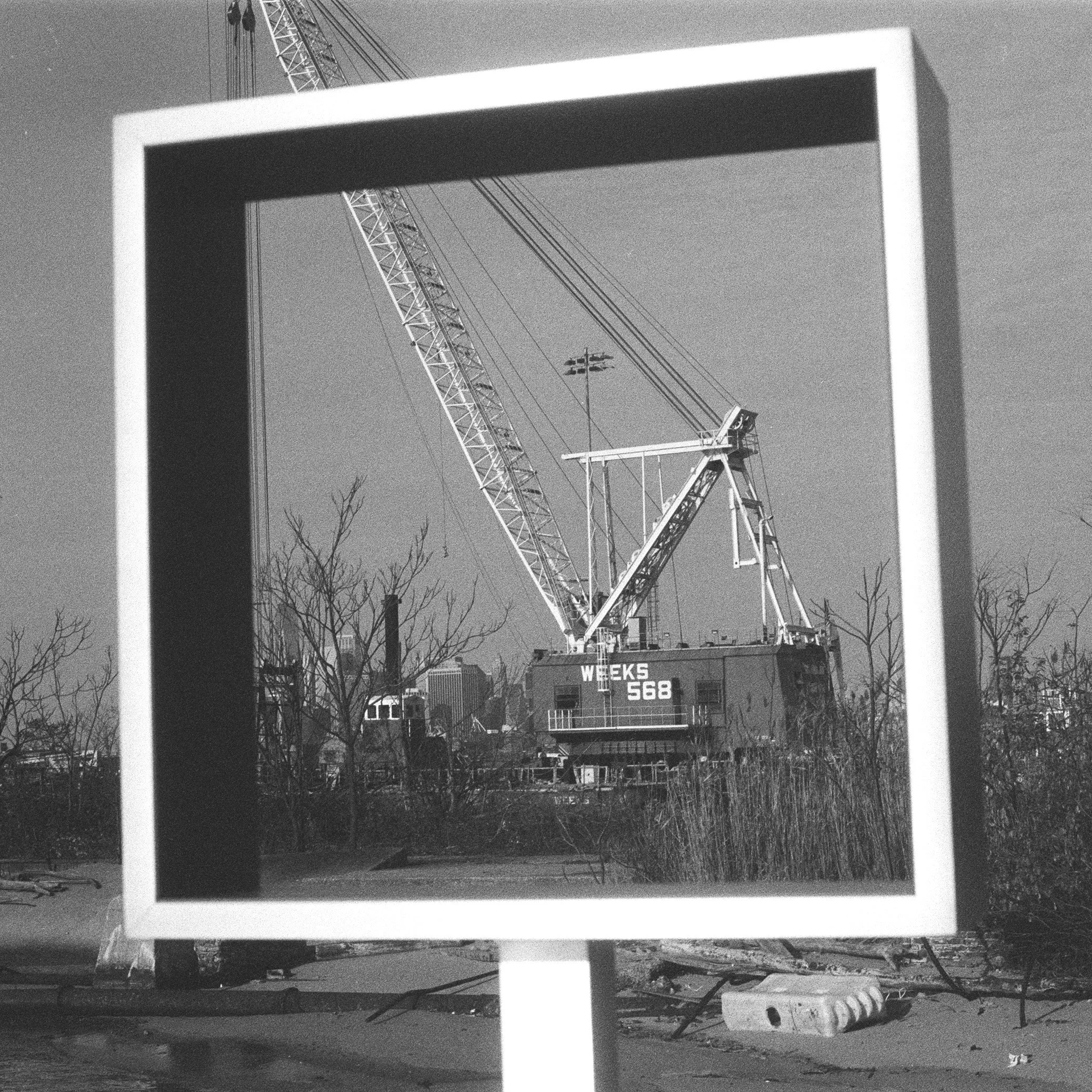 Cat.001 | Crane | 35mm film | Kodak Tri-X | Digital file from original negative