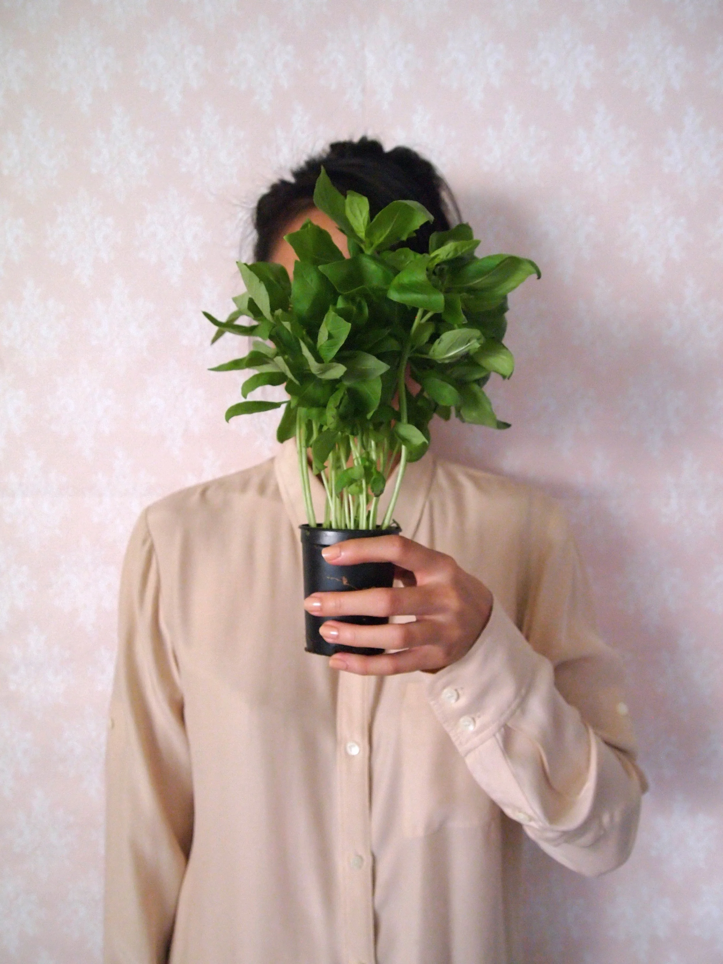 sp_basil1.jpg