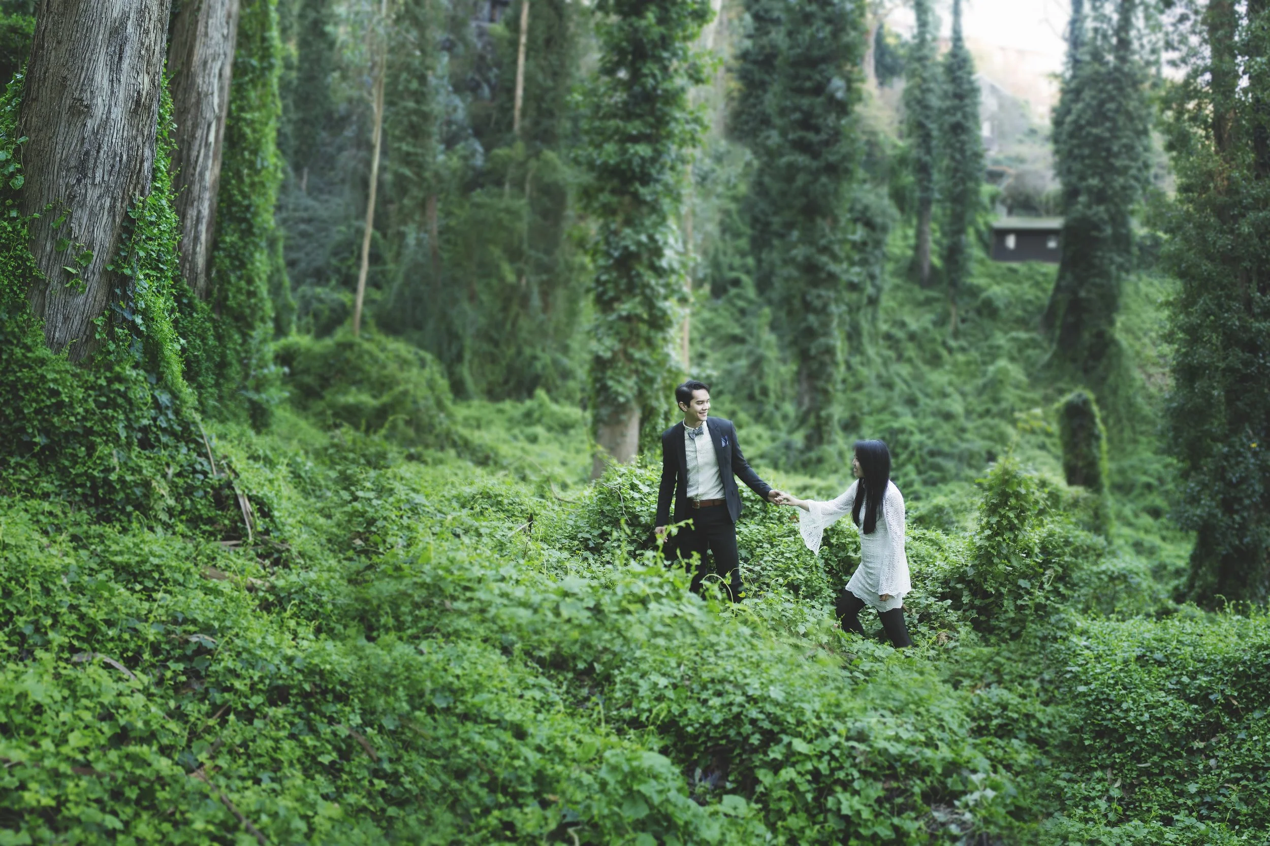 Dec, 2016 An early morning meander in Sutro Forest, one of our favorite hideaways in San Francisco. In the winter, much of the space succumbs to thick, lush ivy. Photo credit: Jennifer Siu