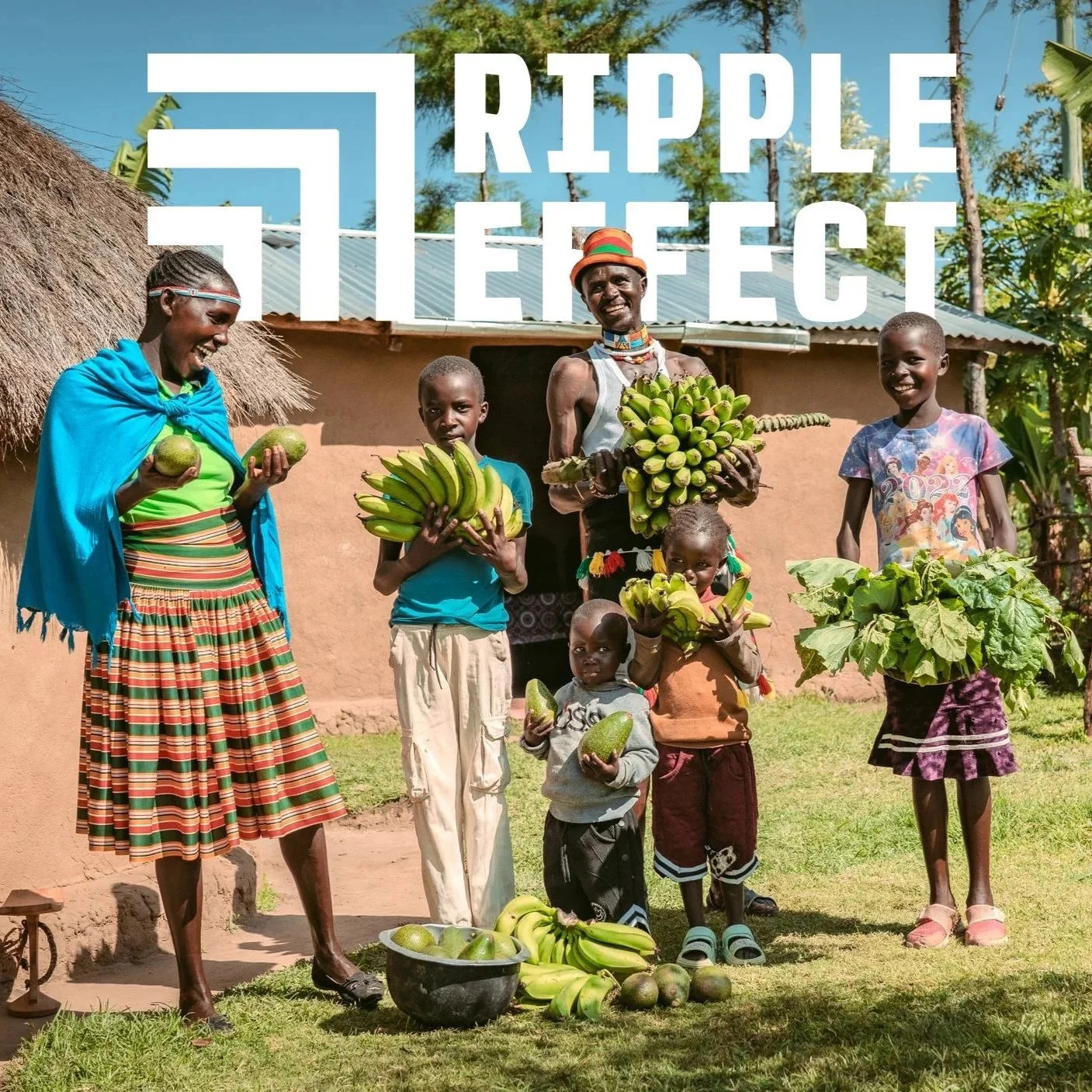An Update from Ripple Effect ~ Ann Hatton