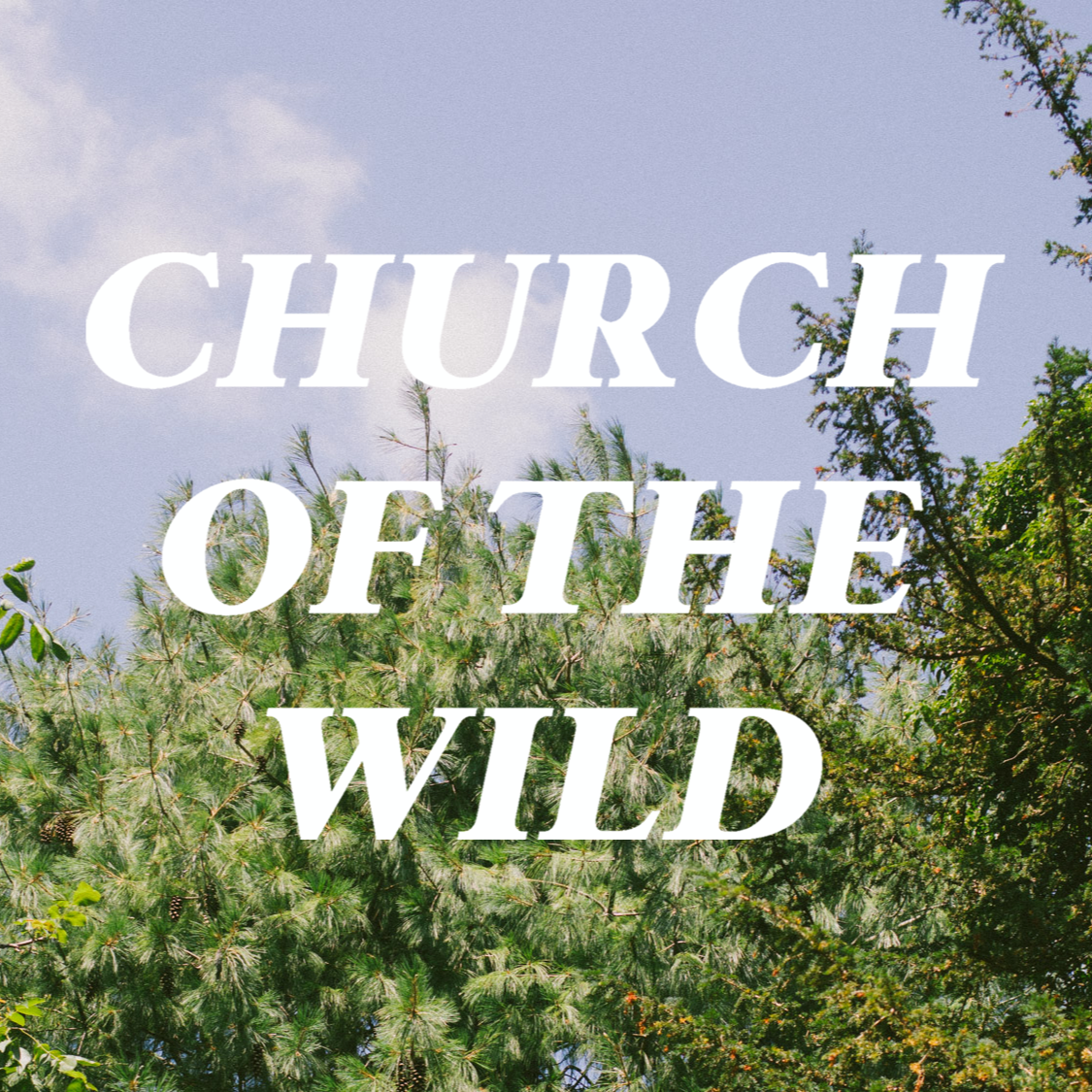 Into the Wild ~ Matt Way