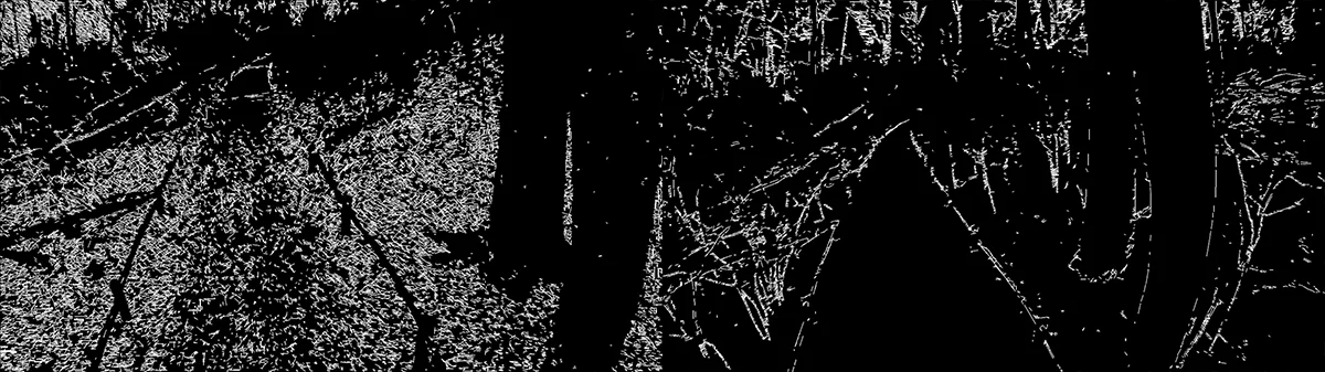 Web_LEADIMAGE_ScreenShot_1.jpg