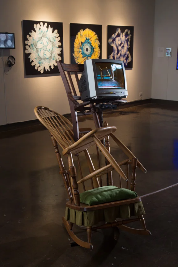 2015 Thesis Show Caryn Coyle v1.jpg