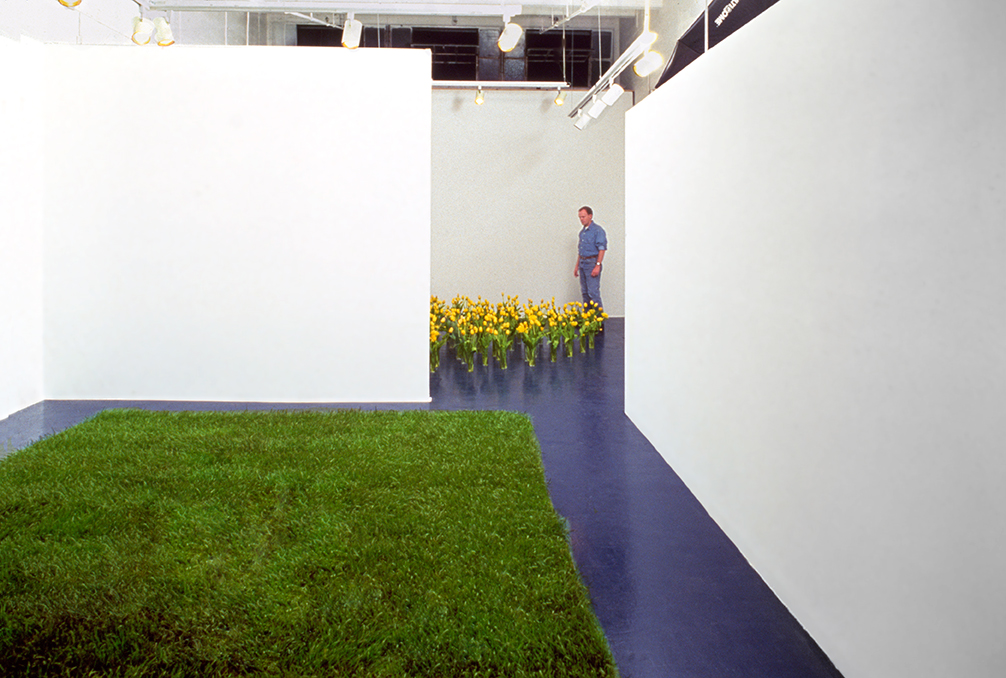 Flowers + Grass, 1990 Opus Gallery, Los Angeles