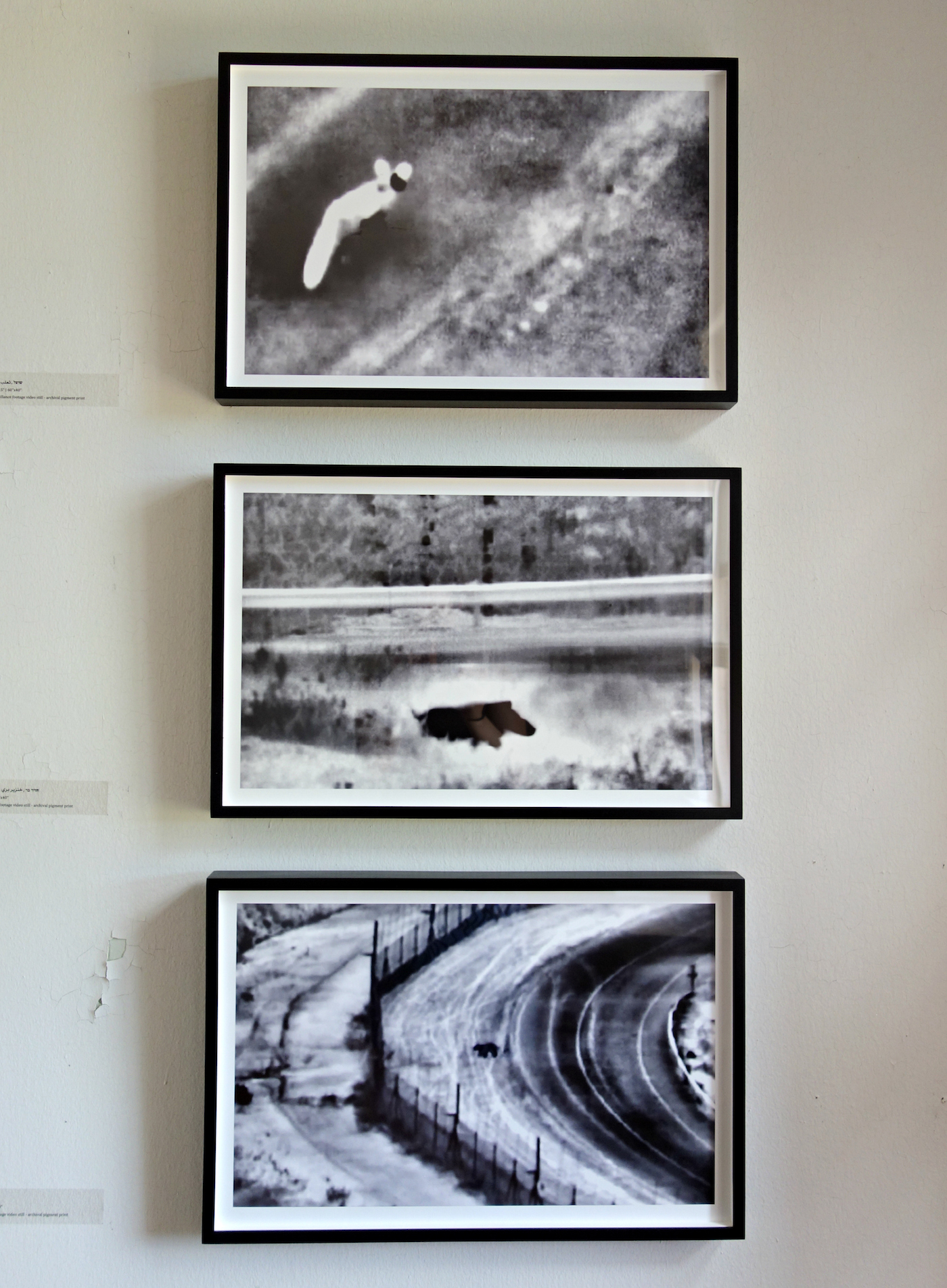 Surveillance footage stills of animals by Netta Laufer - Installation at Governor's Island Art Fair