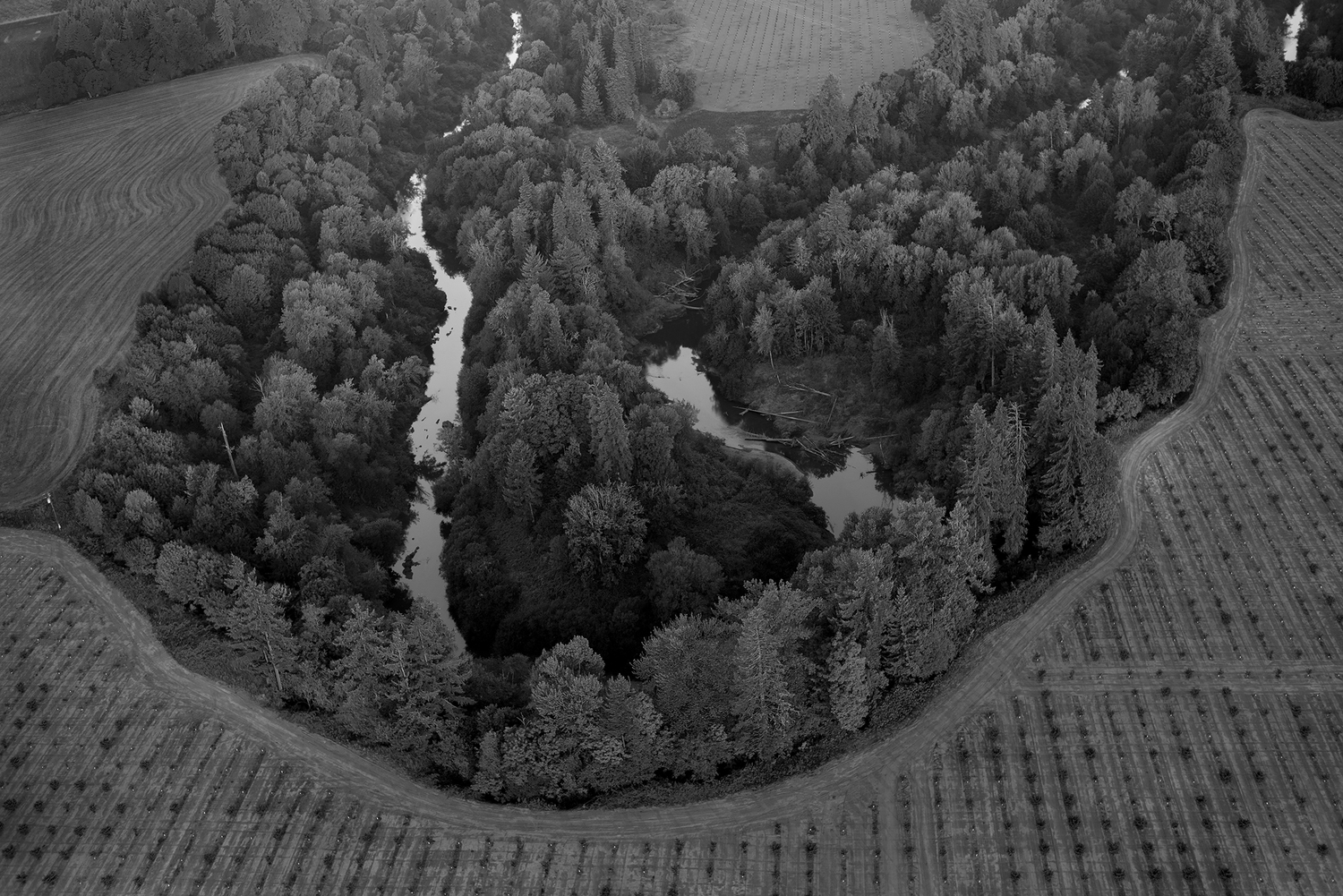 Untitled Aerial 01.