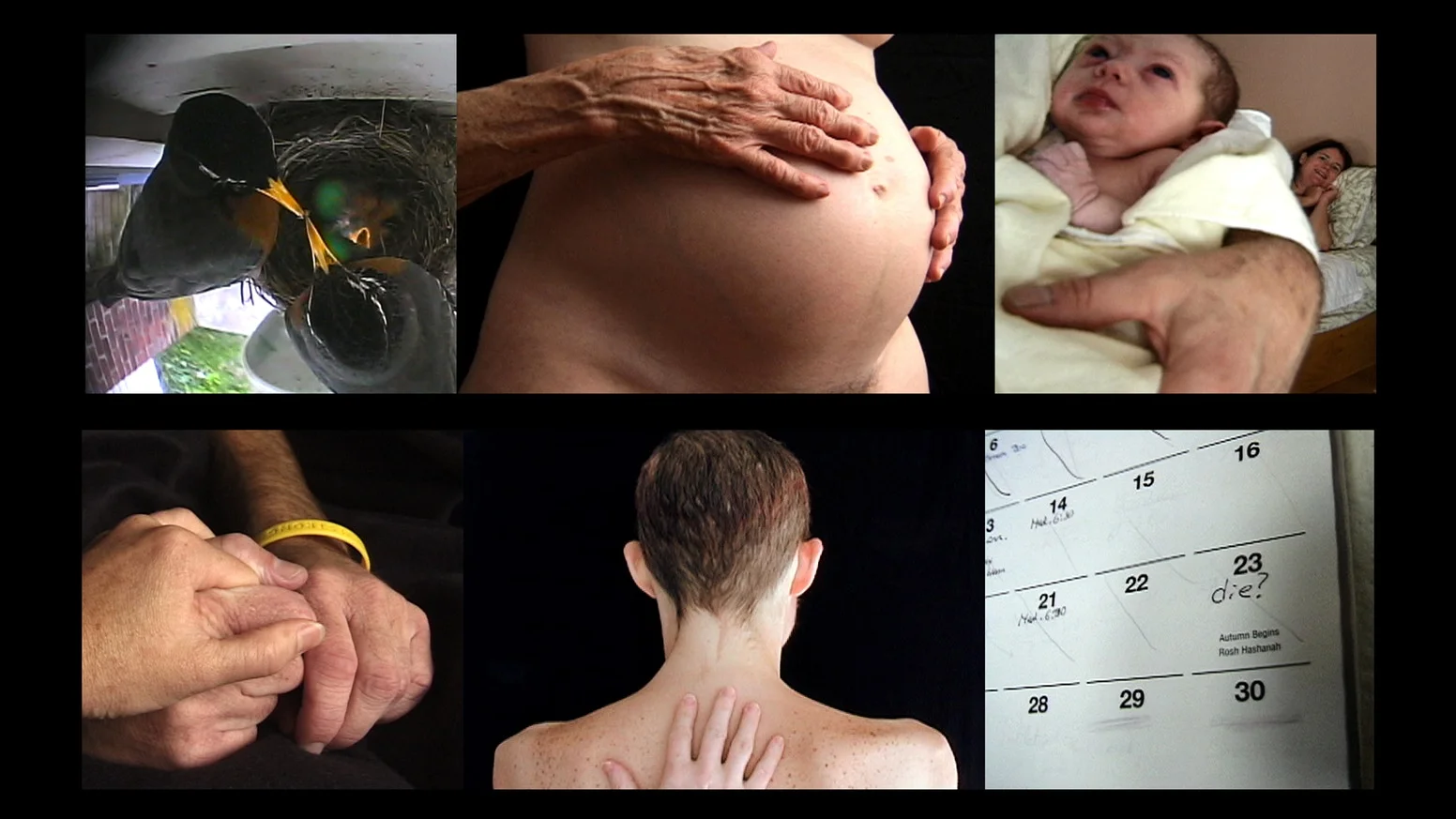 Stills from Instructions on Parting