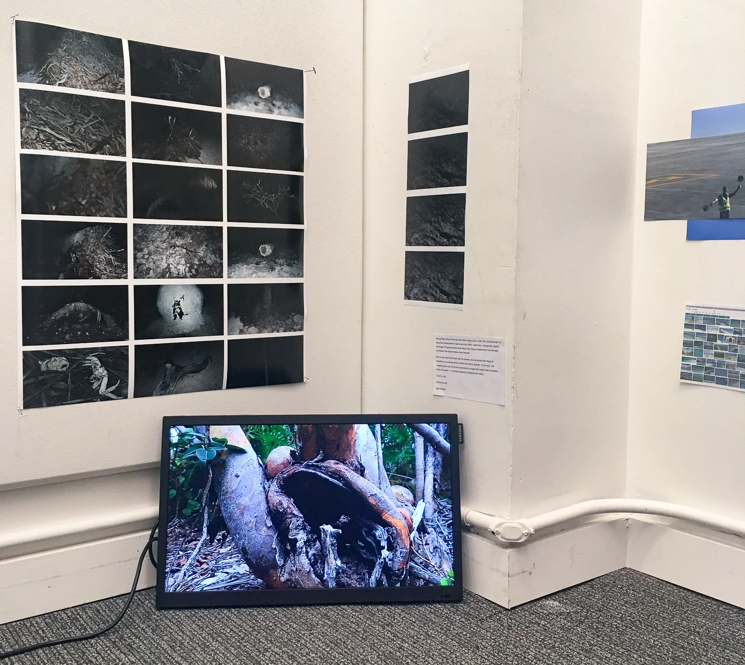installation work by Livia Di Lucia (class of 2019).