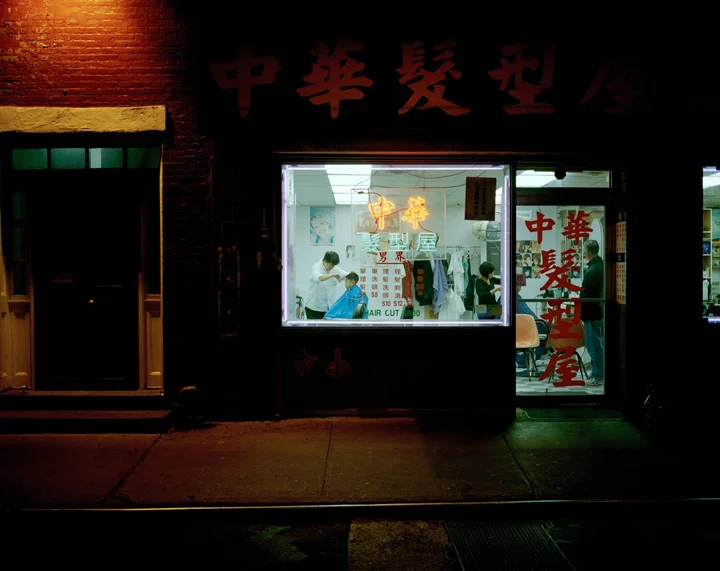 An Rong Xu, Pell Street , 2011