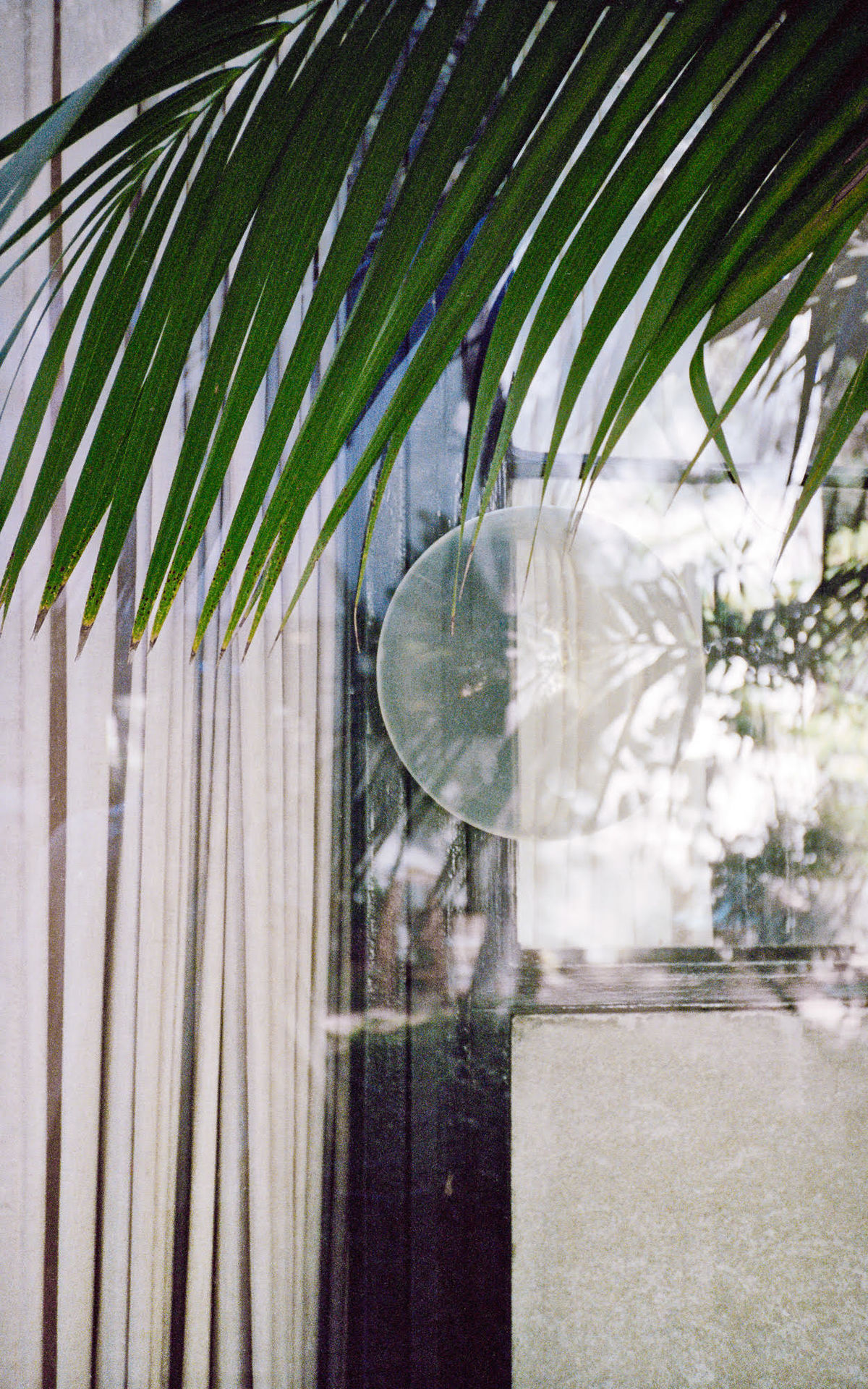 © Yael Eban