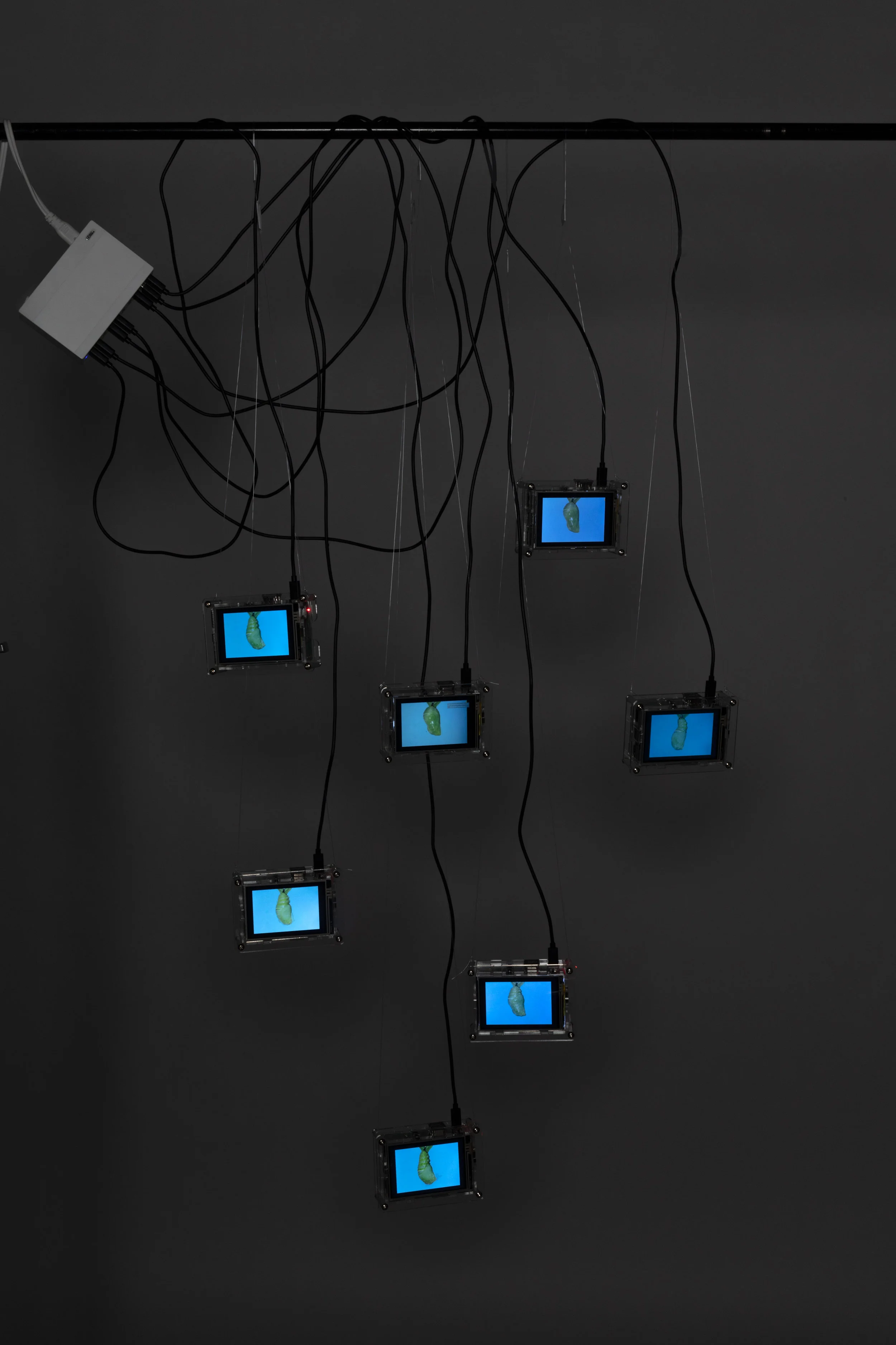 Stage 3: I Am Inside the Pupa 3.5” monitors, transparent acrylic monitor cases, cables variable dimensions