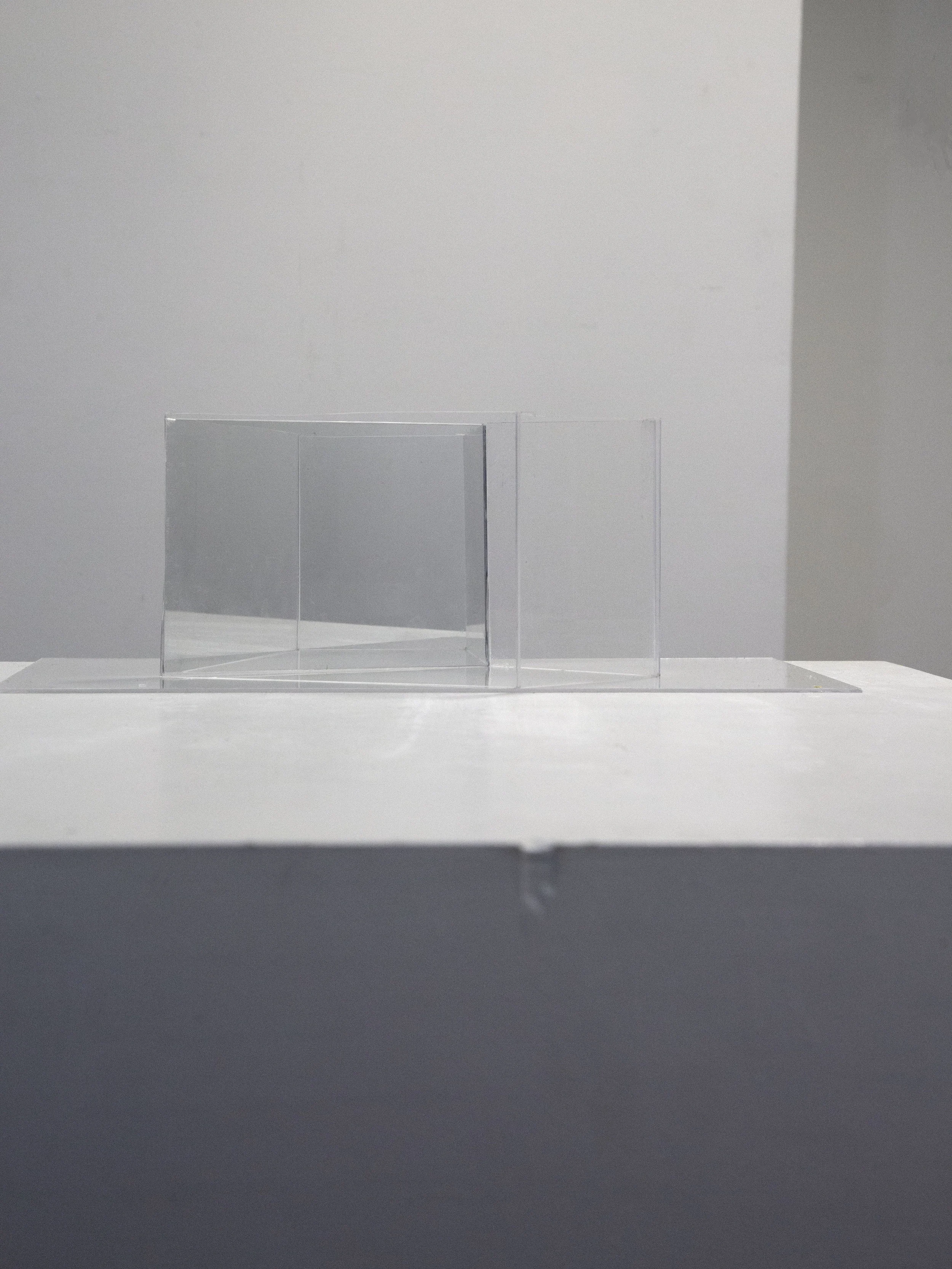Stage 2: I Am a Drowning Fish see-through acrylic, clear acrylic variable dimension