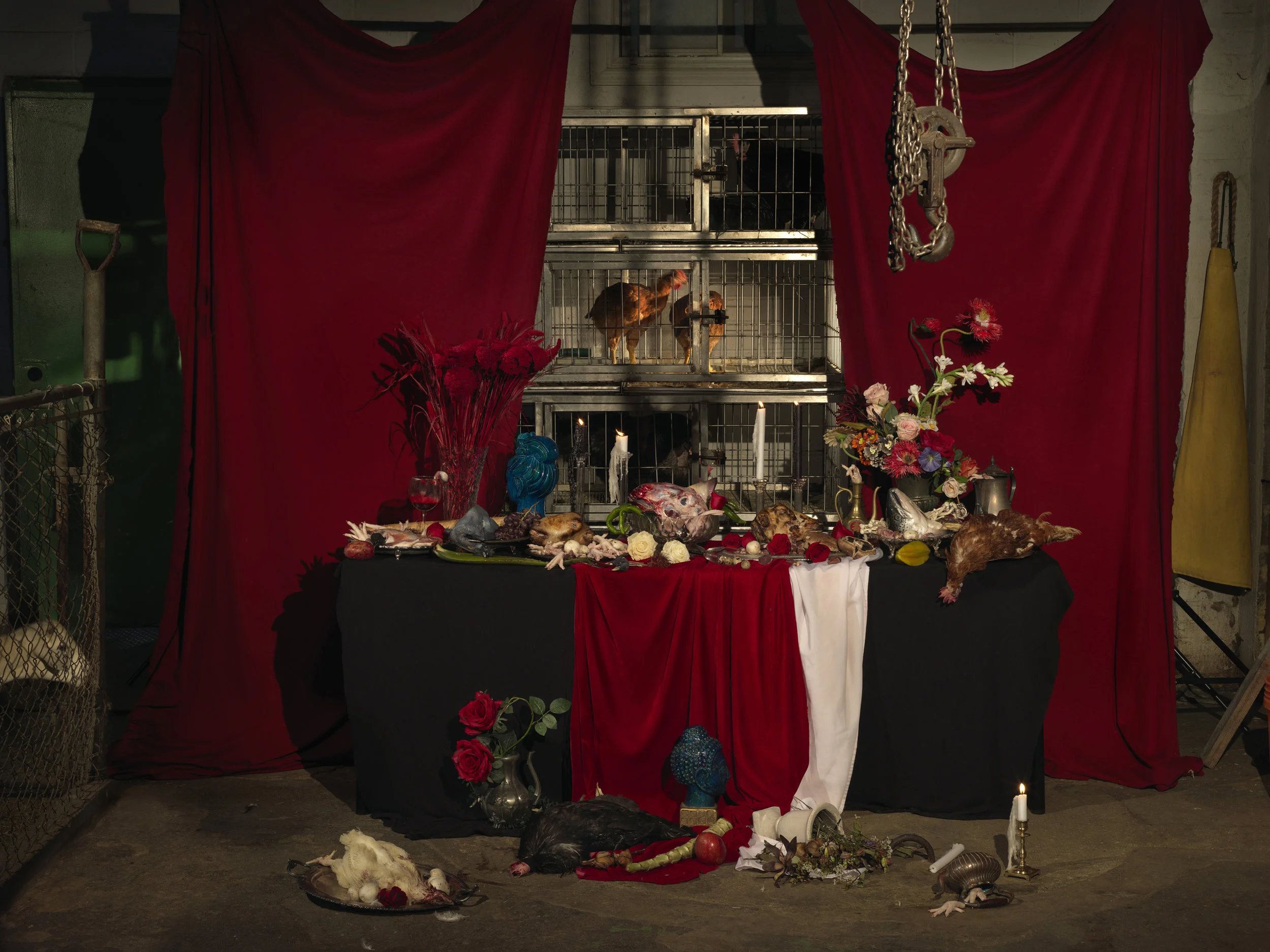 No killing 42 x 56 inches, 2018, digital medium format