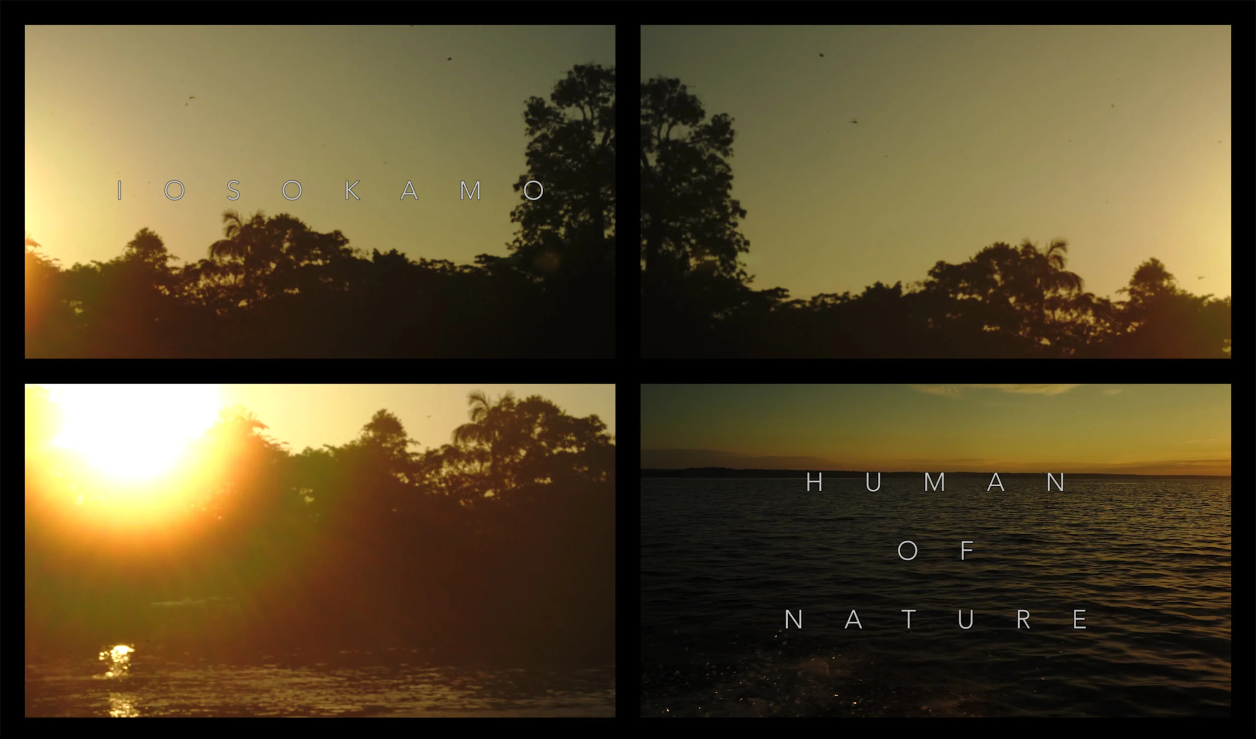 Her name Dystopia of a Jungle city, and the Human of Nature , 27 minutes loop, 4 screen Installation film, 2019