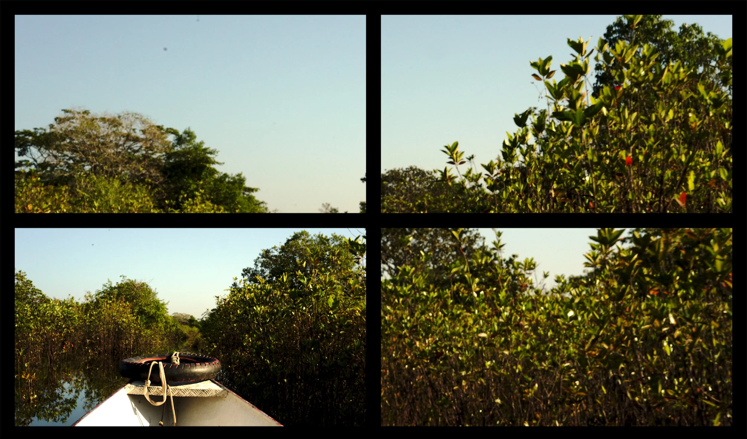 A Wild Igarapé Dystopia of a Jungle city, and the Human of Nature , 27 minutes loop, 4 screen Installation film 2019