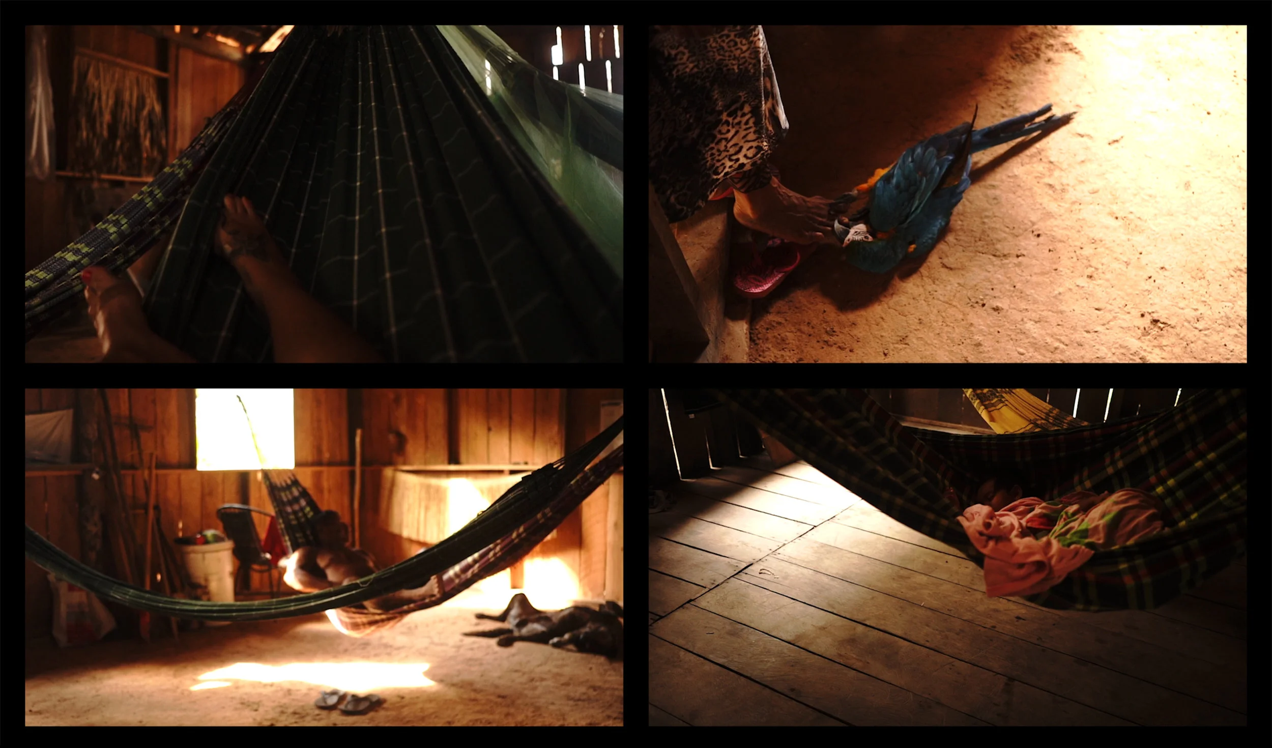 Hammocks Study Dystopia of a Jungle city, and the Human of Nature , 27 minutes loop, 4 screen Installation film 2019