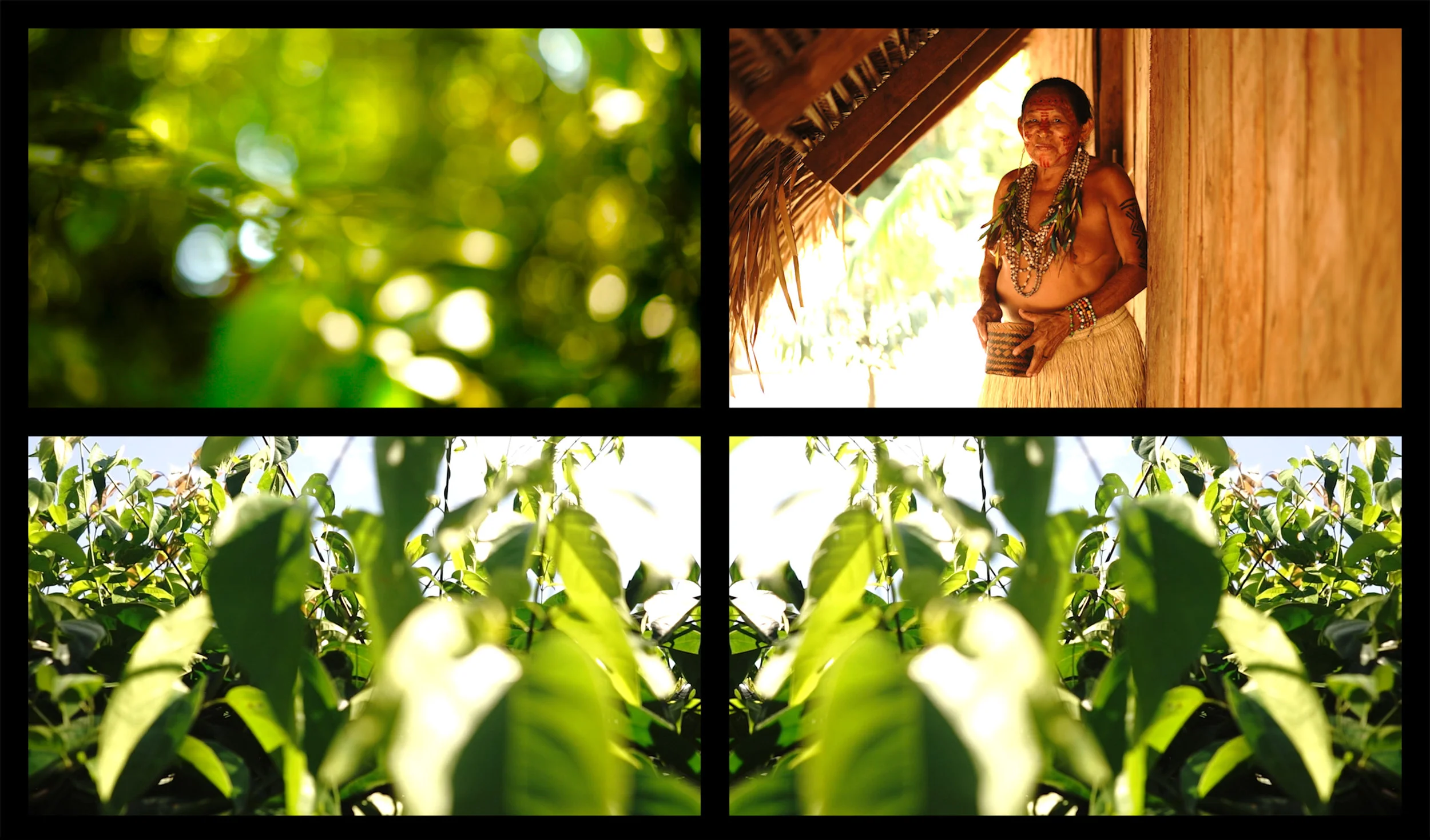 Iosokamo and The Ayahuasca Tree Dystopia of a Jungle city, and the Human of Nature , 27 minutes loop, 4 screen Installation film 2019