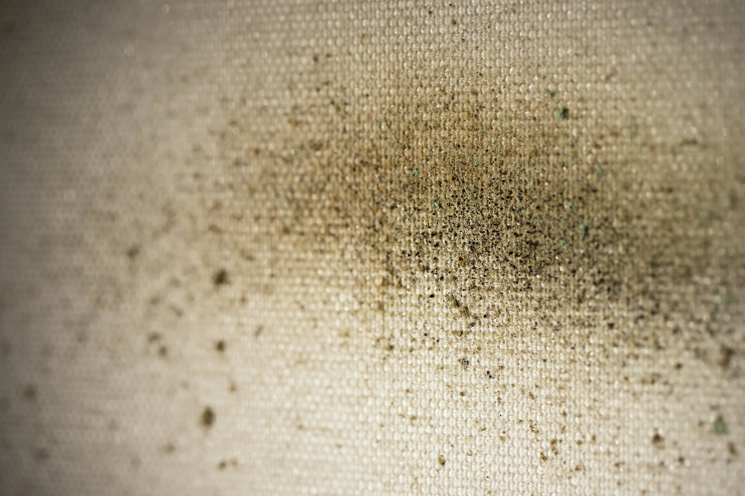 Installation Image for Vestige , 2019 Mixed Media (Silk Habotai, Pigment, Dirt, Ashes of Incense Sticks, Crysanthemum Petals, Framed Images with Archival Inkject Print)