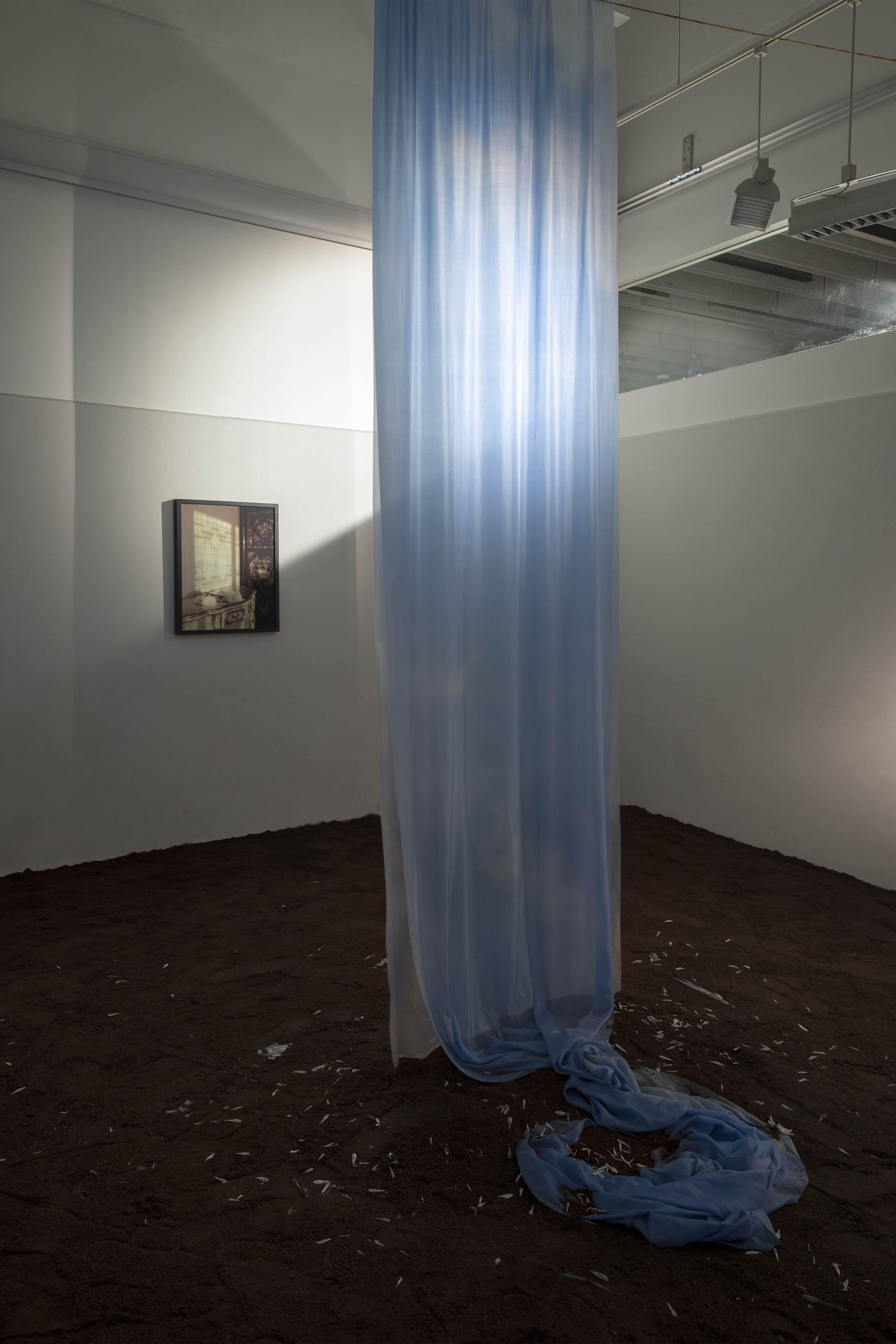 Installation Image for Vestige , 2019 Mixed Media (Silk Habotai, Pigment, Dirt, Ashes of Incense Sticks, Crysanthemum Petals, Framed Images with Archival Inkject Print)