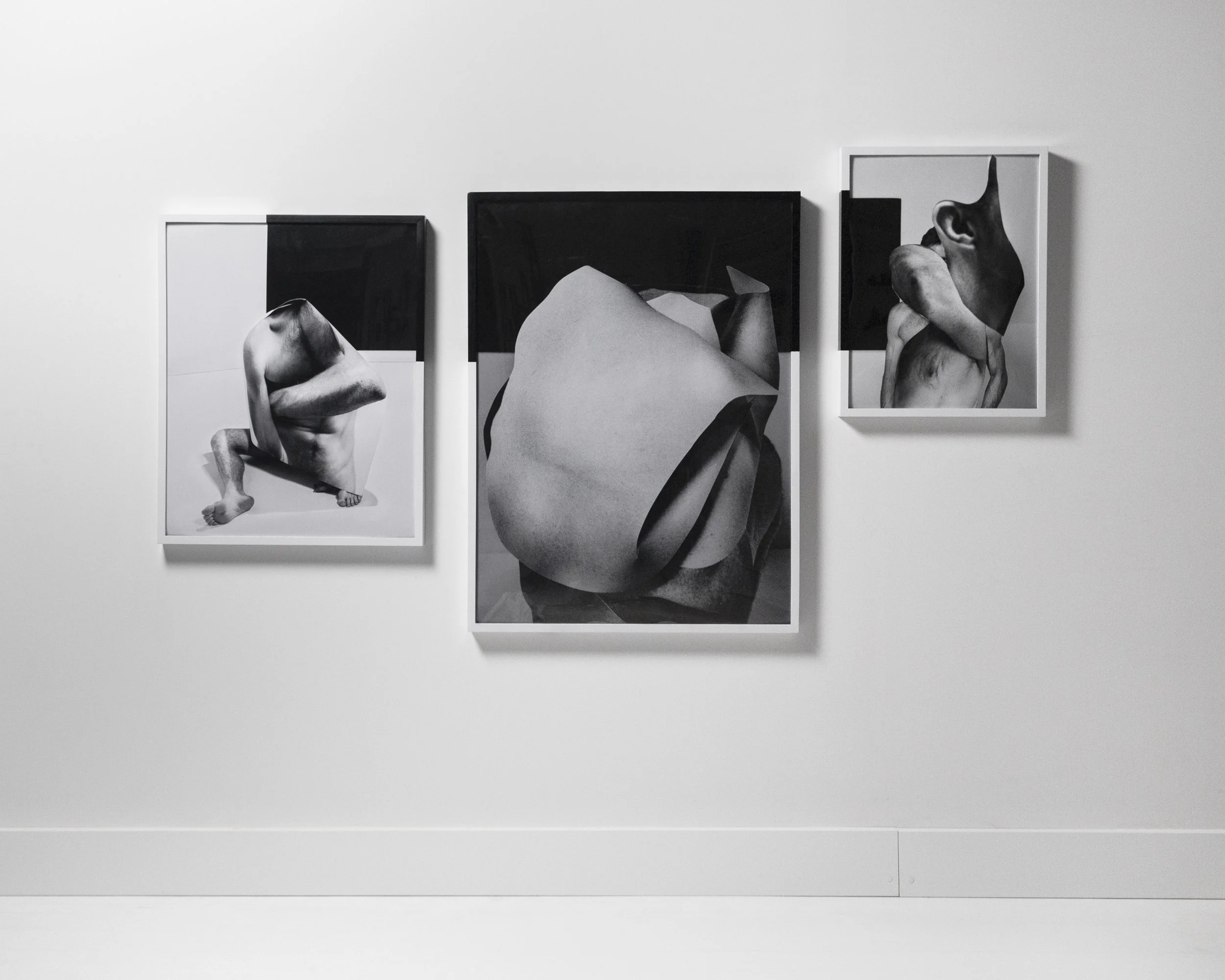 Genesis of Desire , triptych 2019 Inkjet prints and painted wood frames 84 x 45 inches