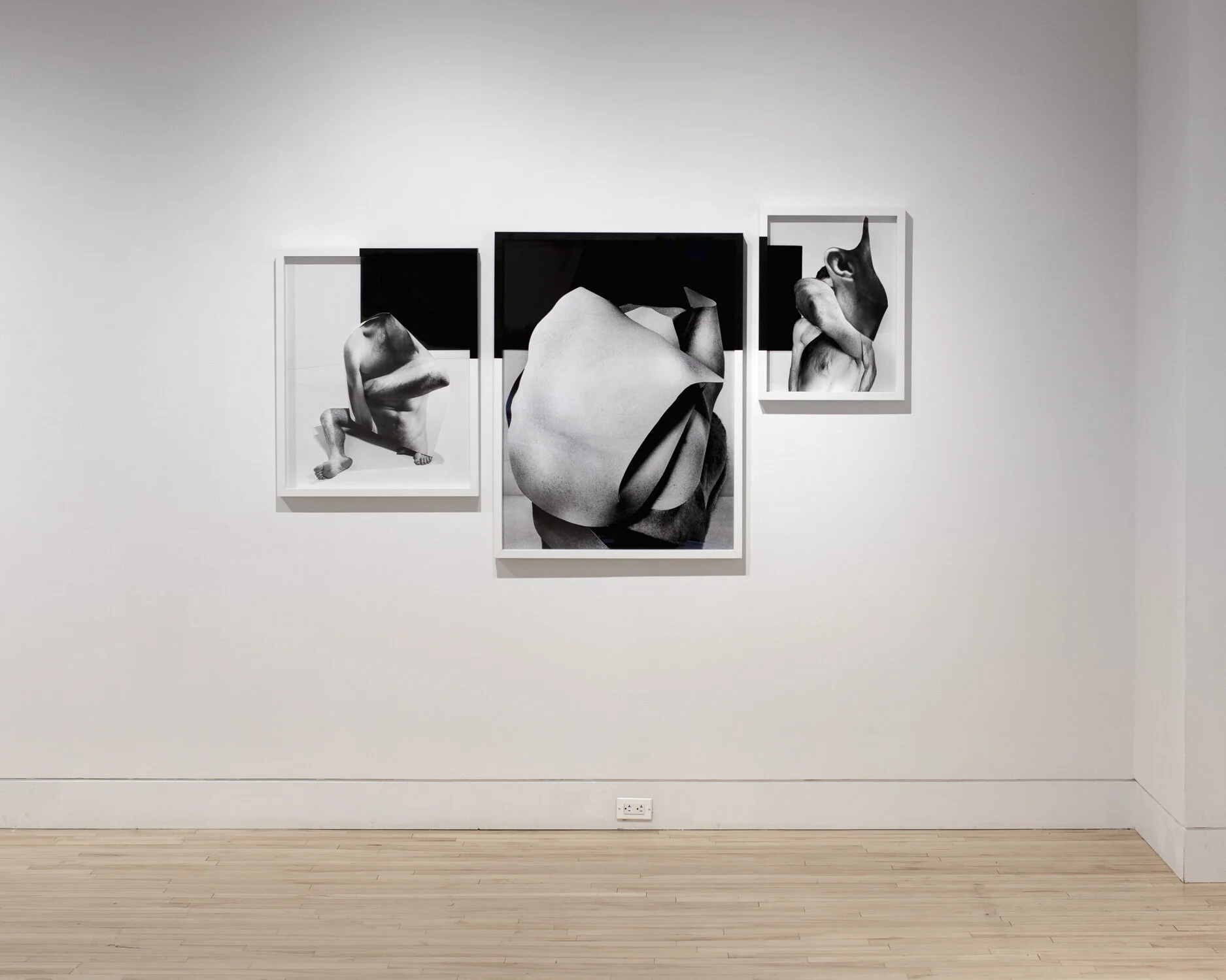 Gesesis of Desire , 2019 Inkjet prints and painted frames, Varying dimensions