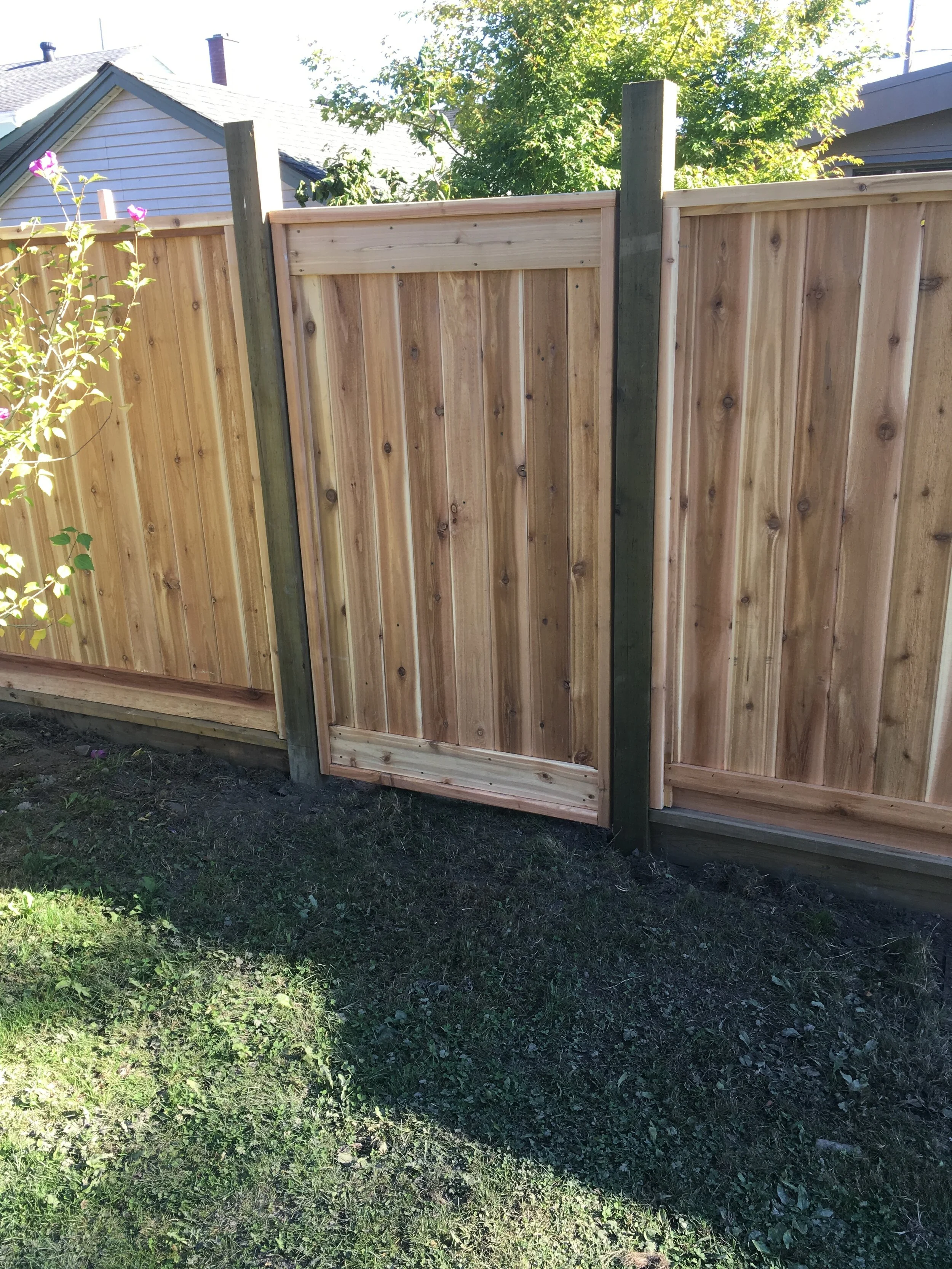 julia fence 2.JPG
