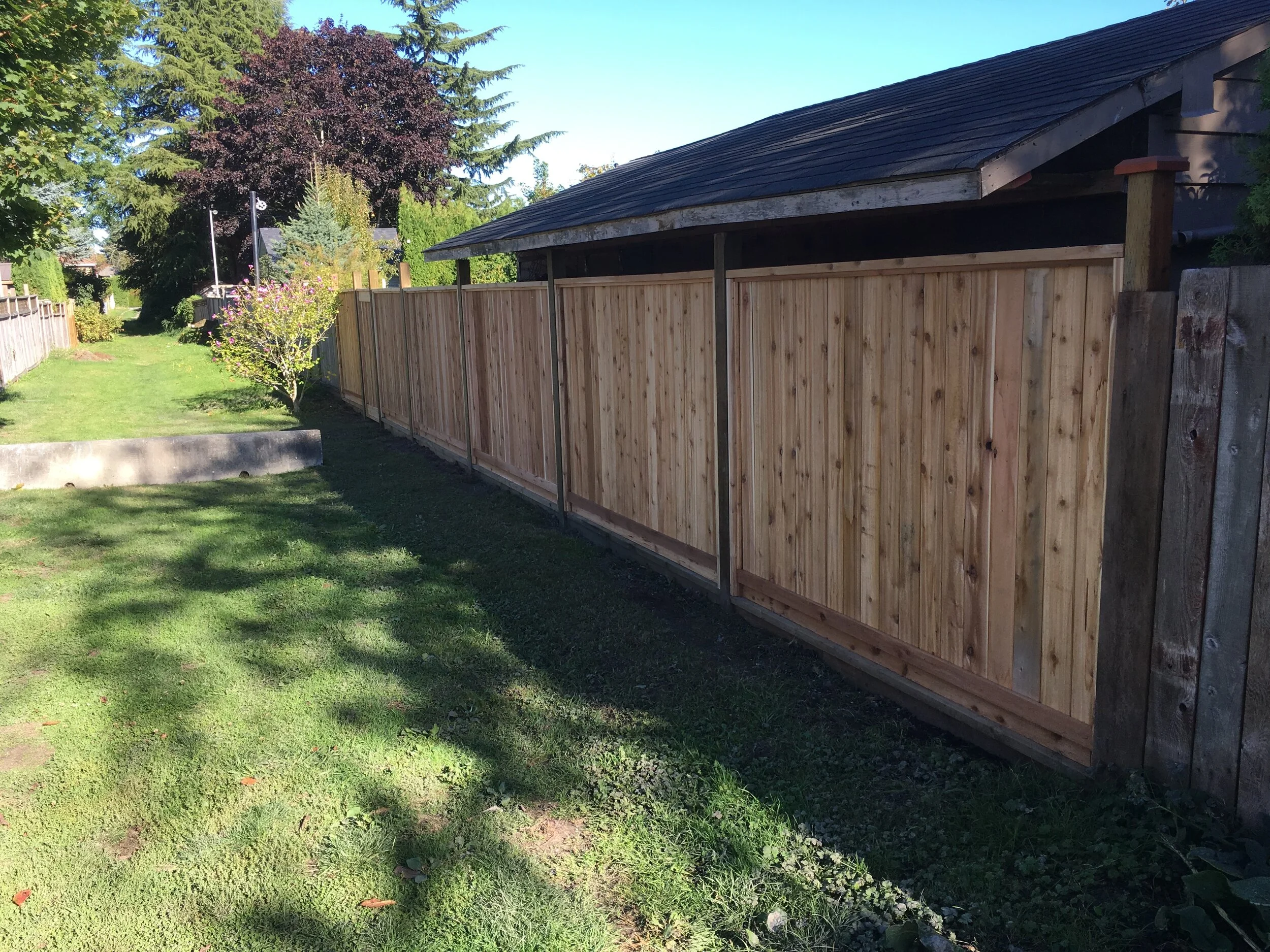 julia fence.JPG