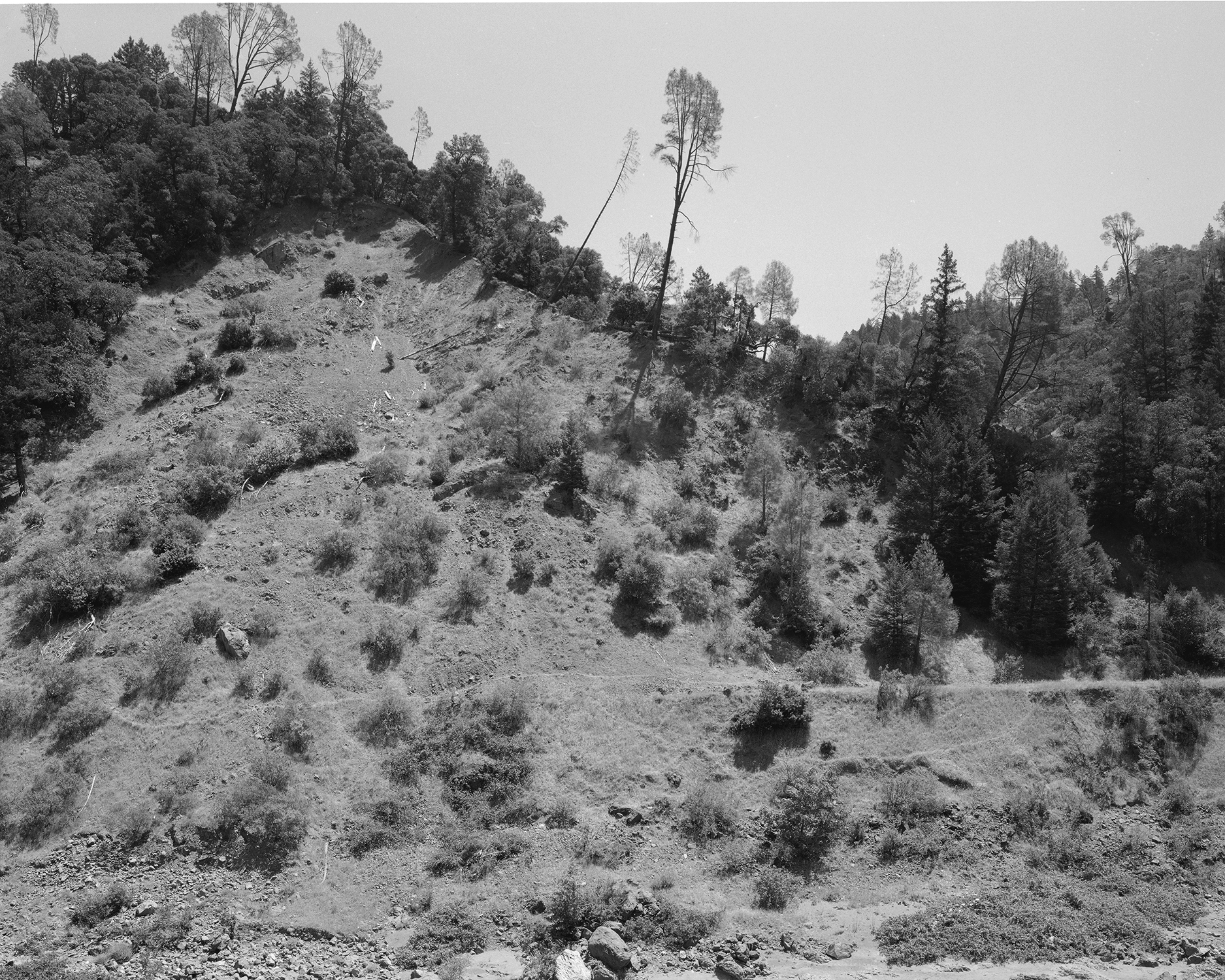 Near Dos Rios on Covello Highway.