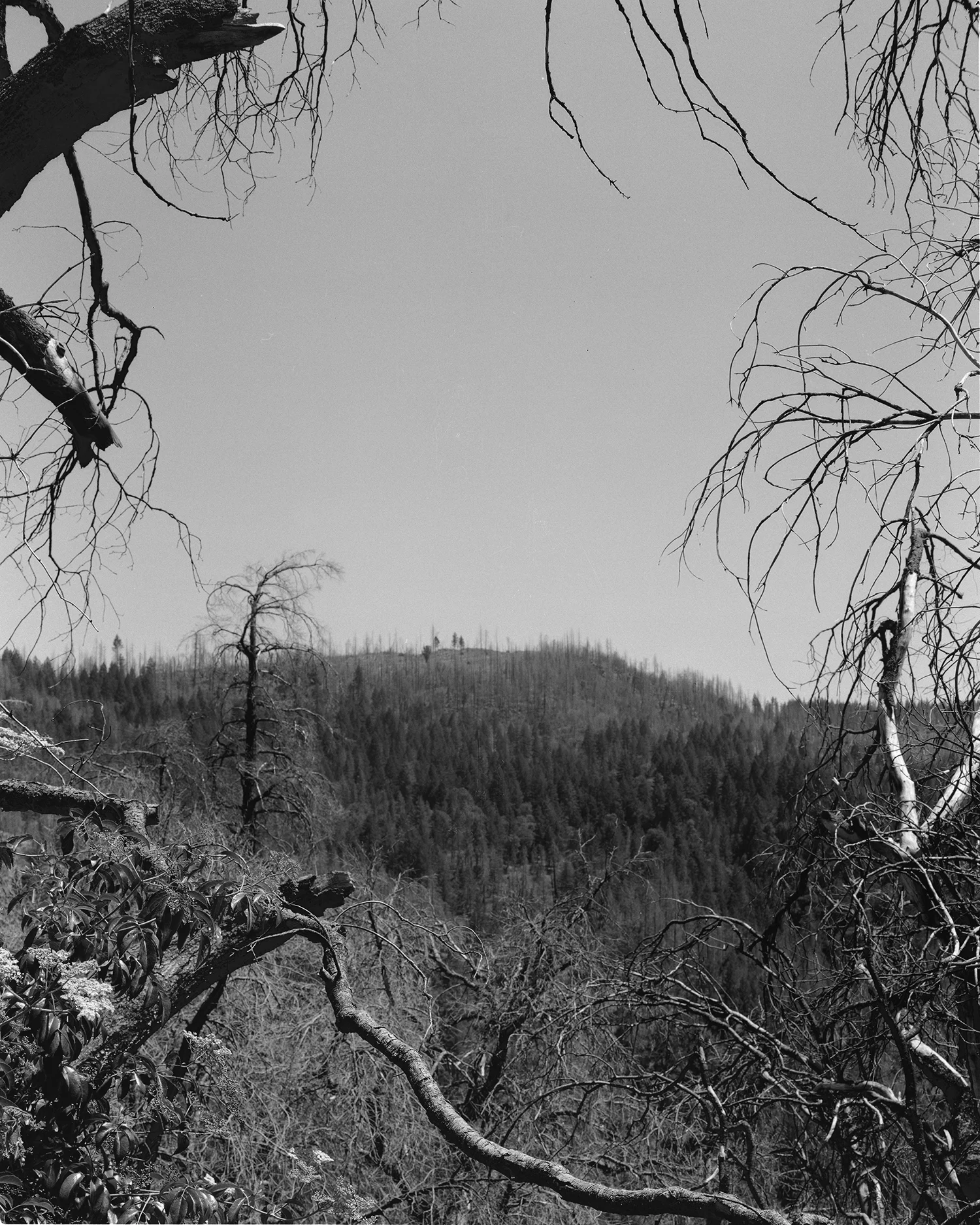 Leaving Cobb Mountain.