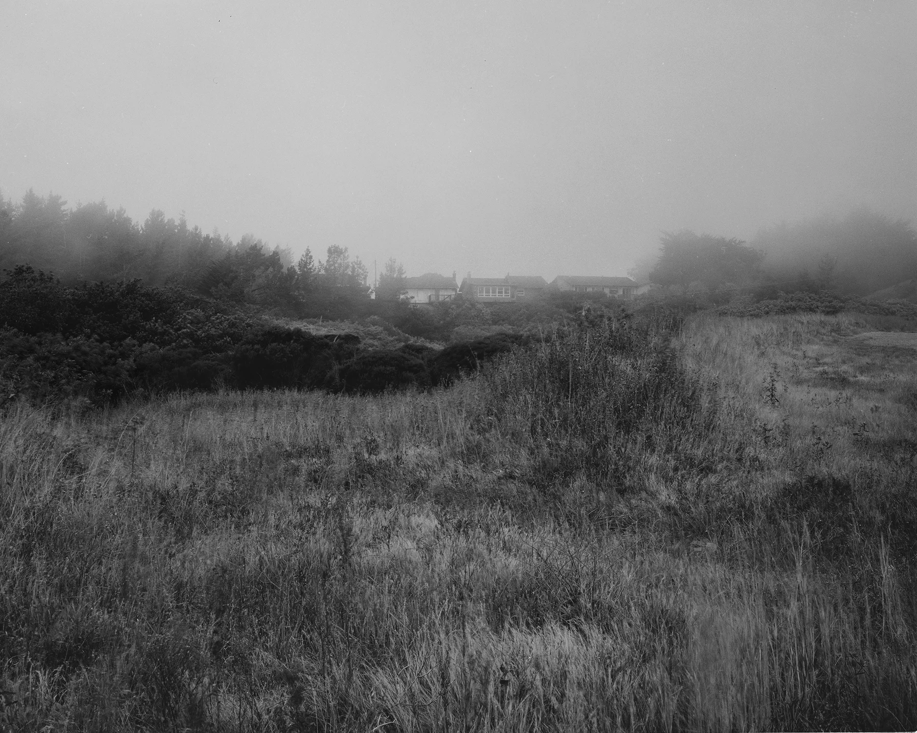 Edge of the neighborhood. (San Bruno)
