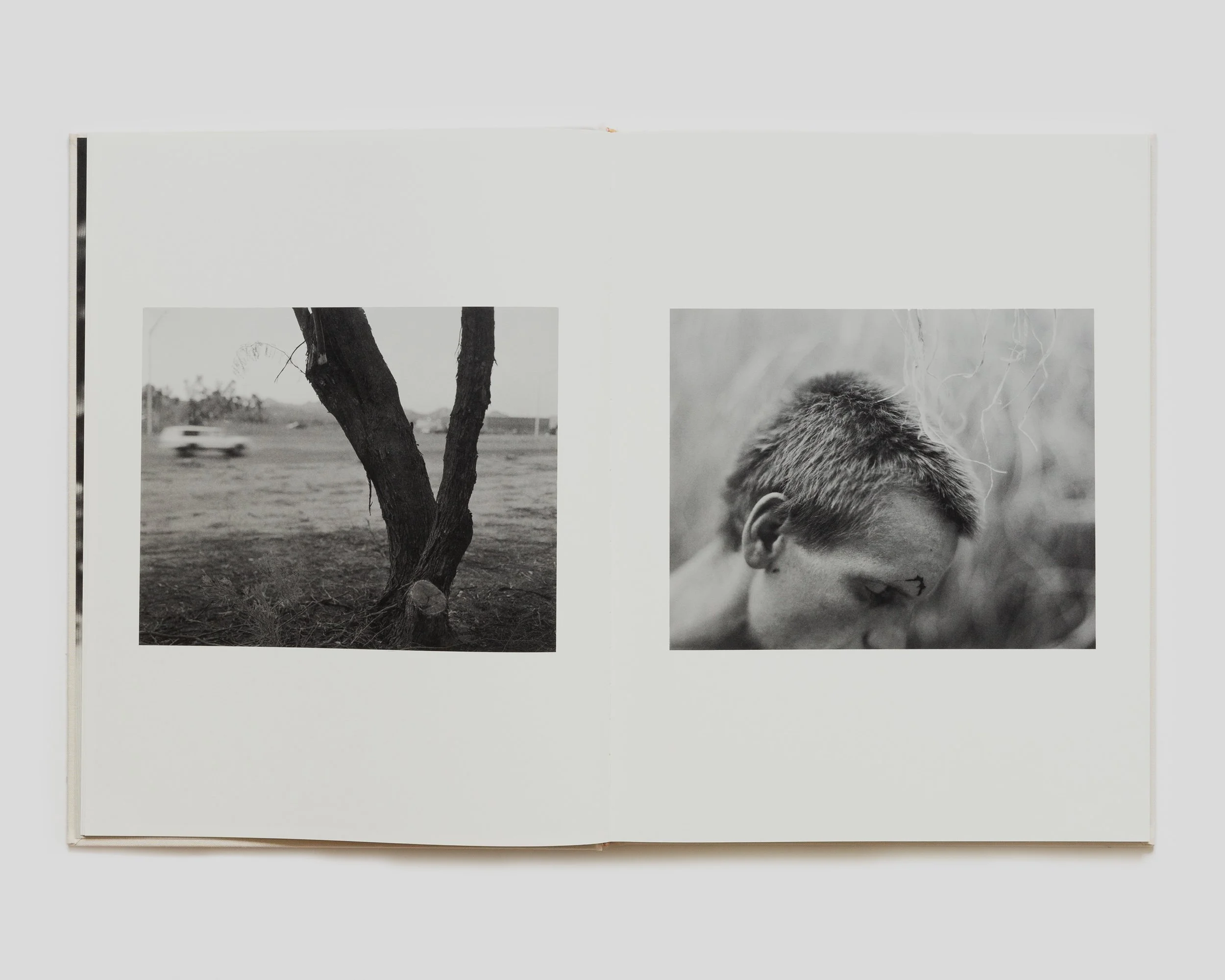 Matthew Genitempo/ Dogbreath 写真集 Matthew Genitempo