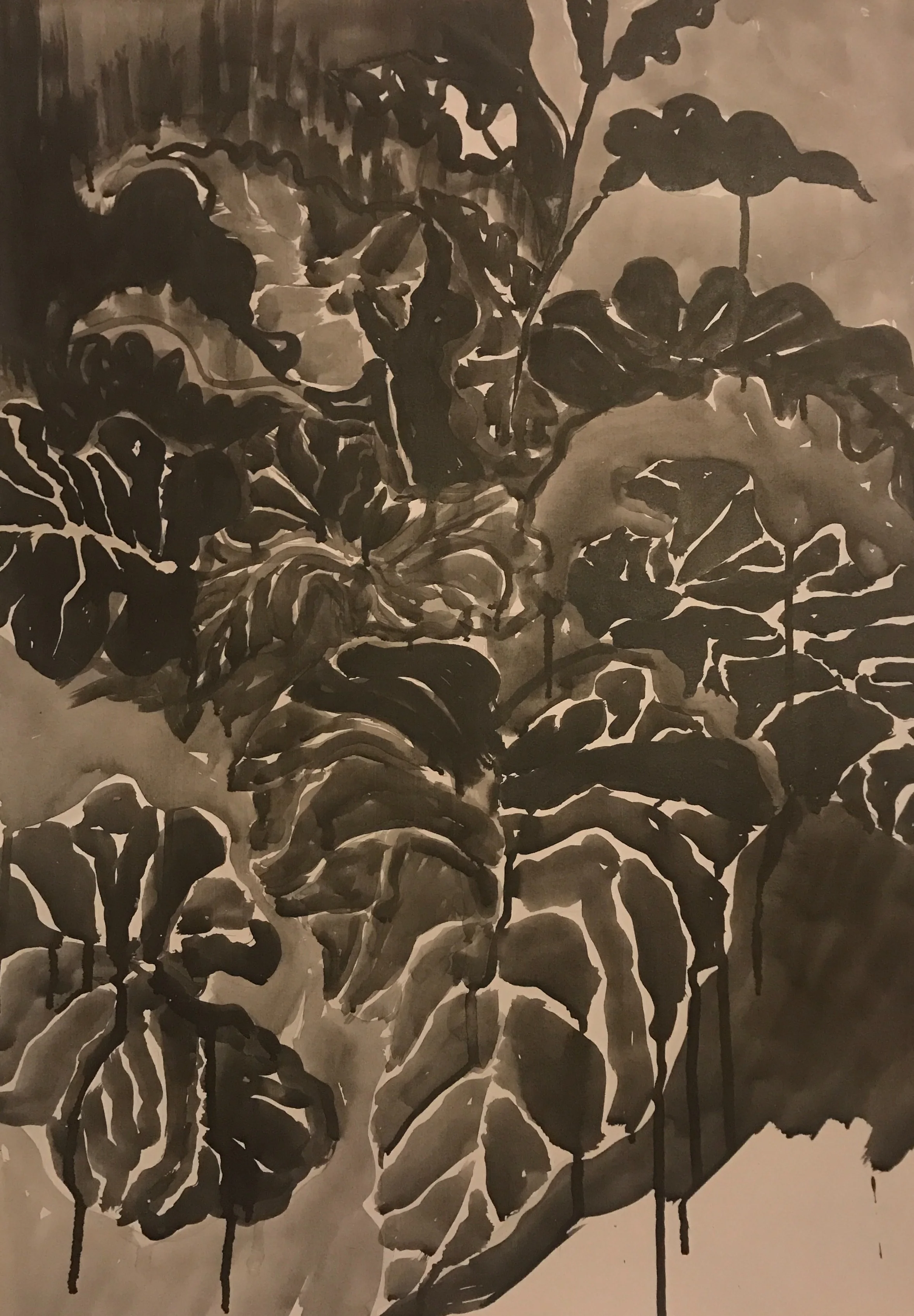 What I did this summer 