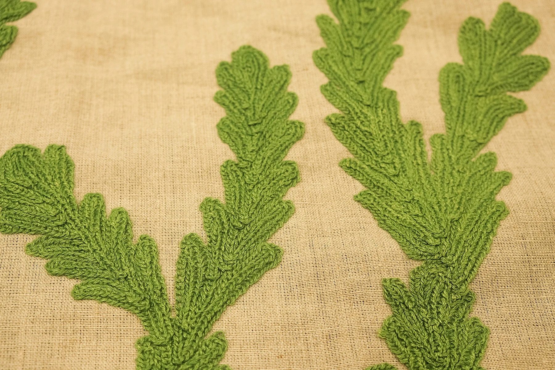 Cereus detail