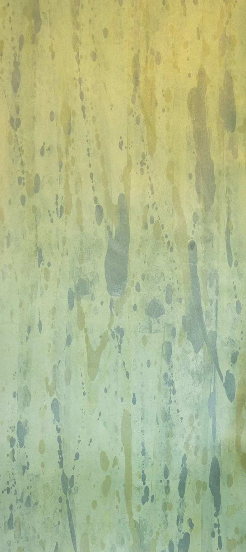 Kelp Tea Paper in Kelp Forest 