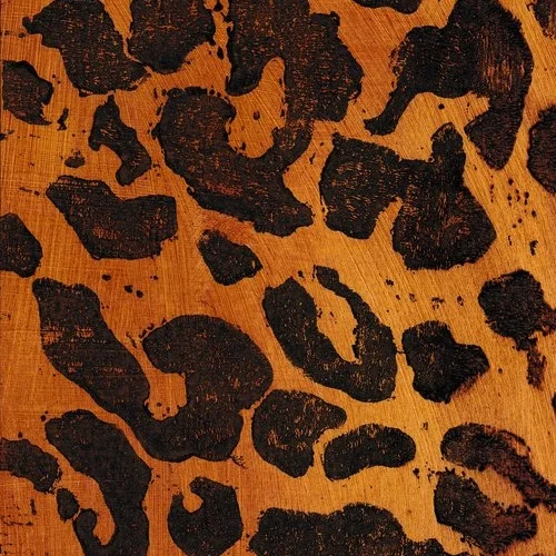 Leopard | Serengeti